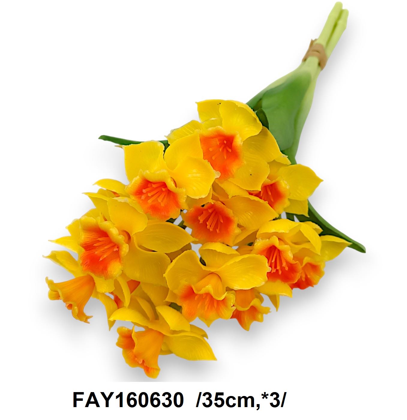 FAY160630