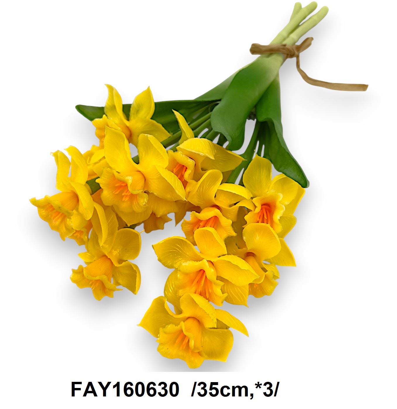 FAY160630