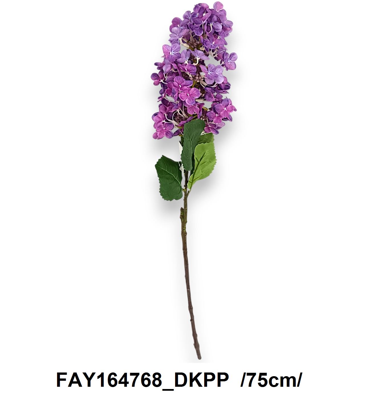 FAY164768_DKPP