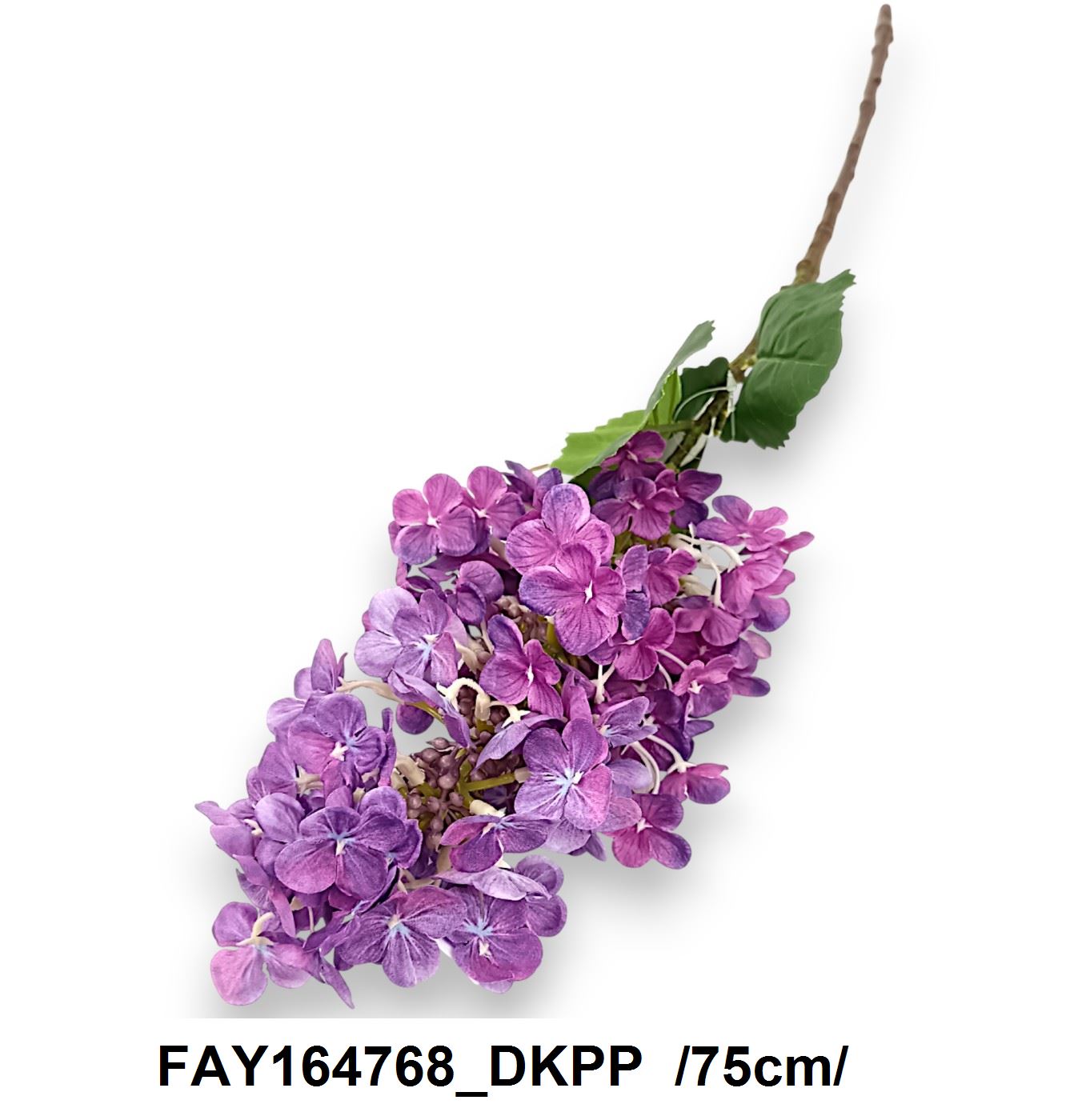FAY164768_DKPP