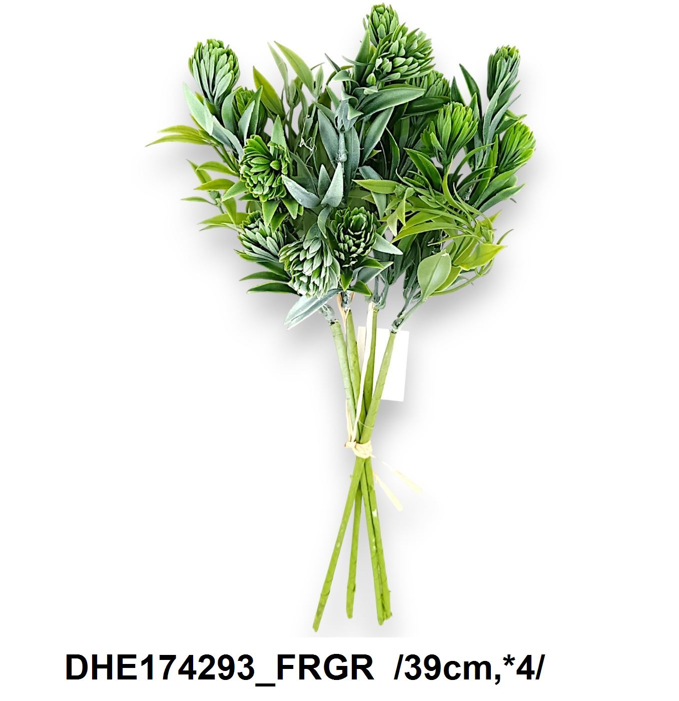 DHE174293_FRGR