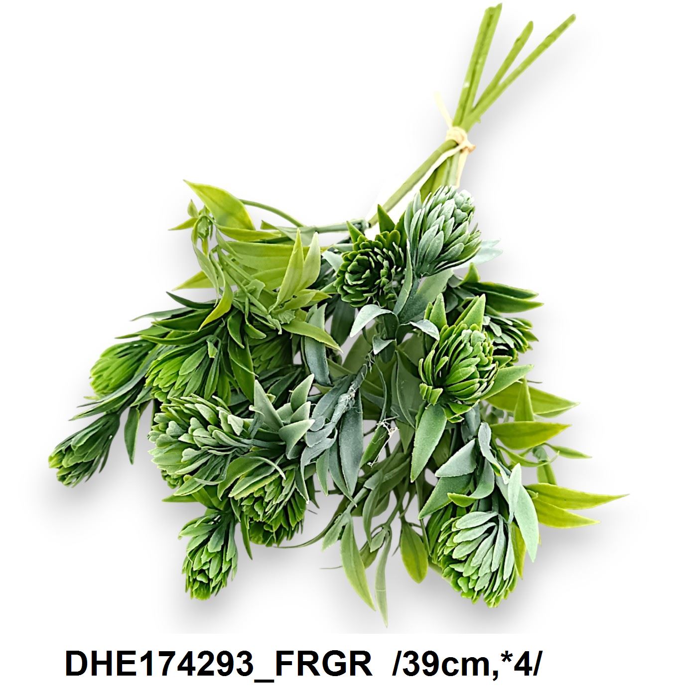 DHE174293_FRGR