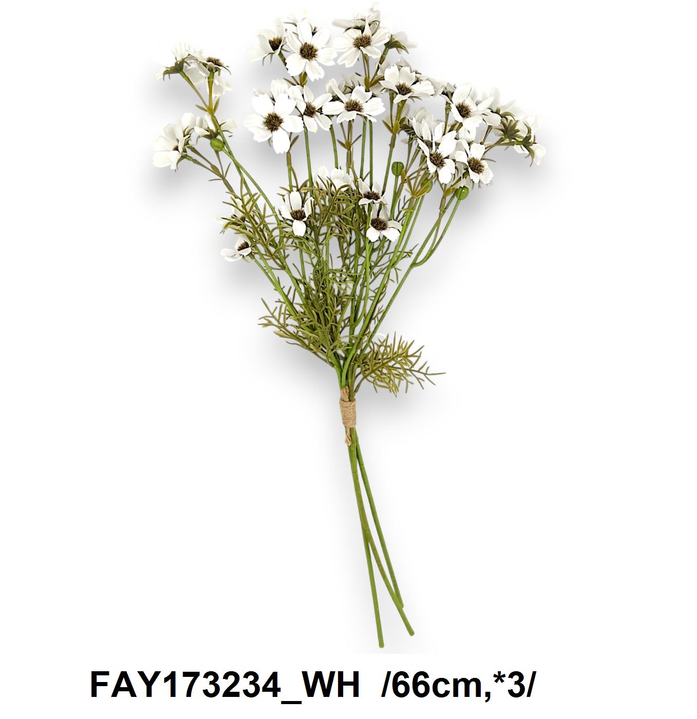 FAY173234_WH