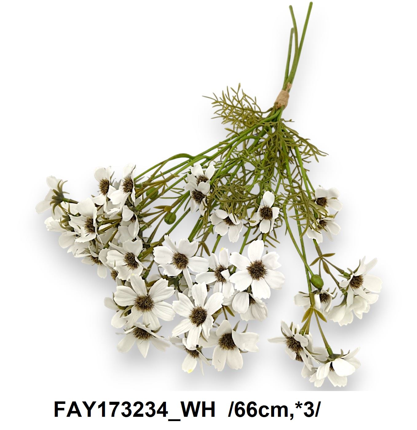 FAY173234_WH