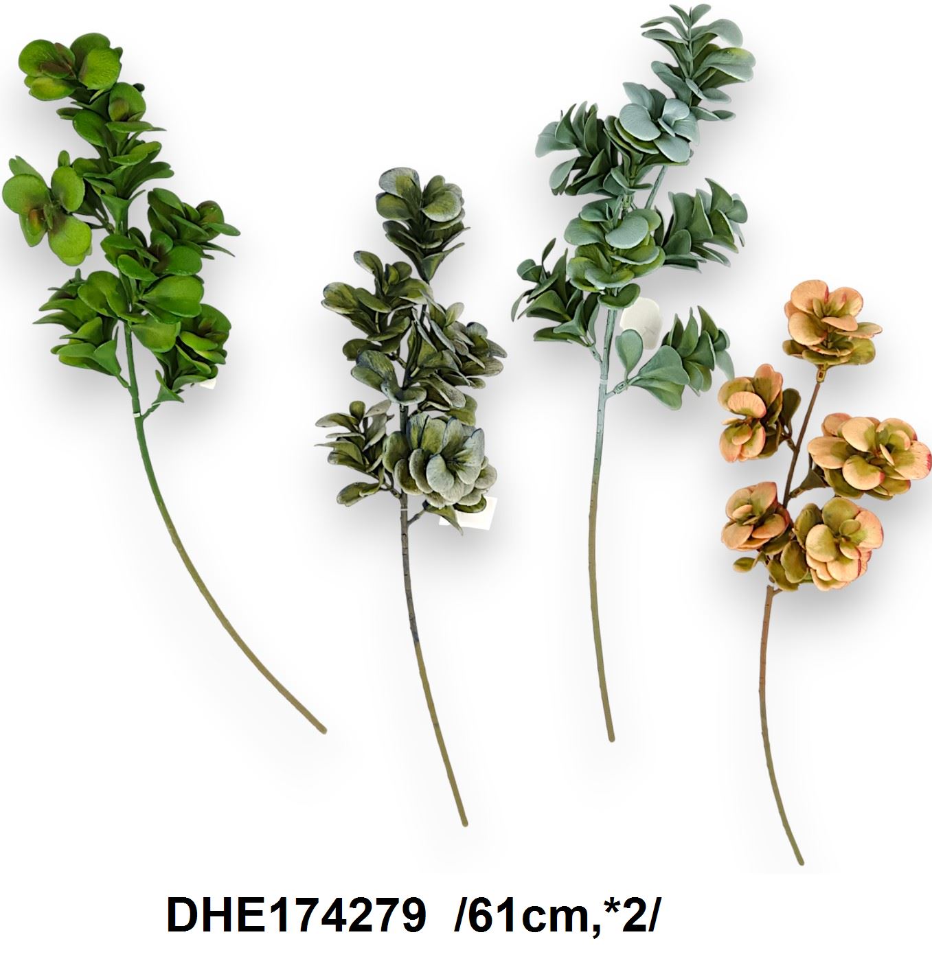 DHE174279