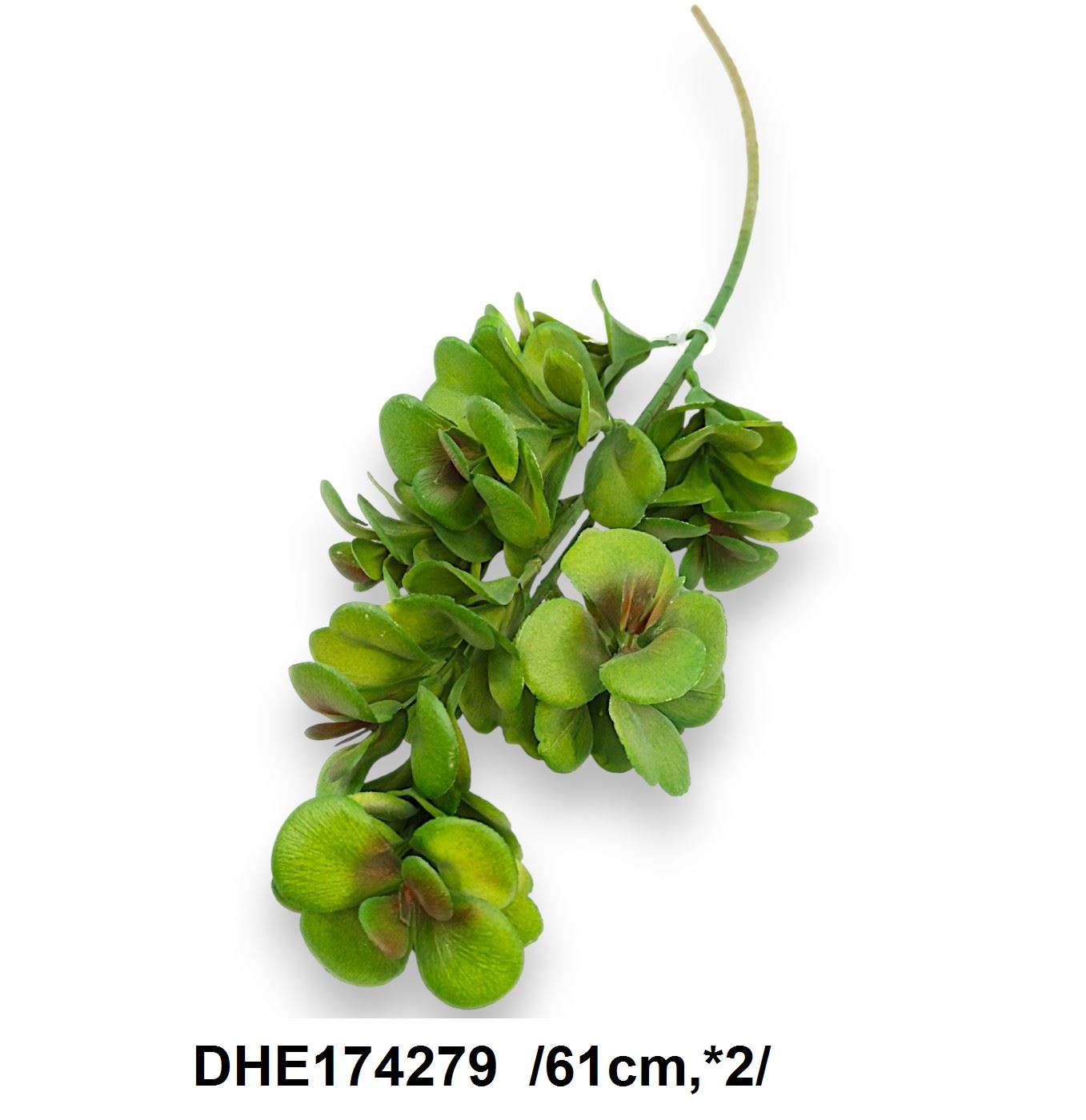 DHE174279