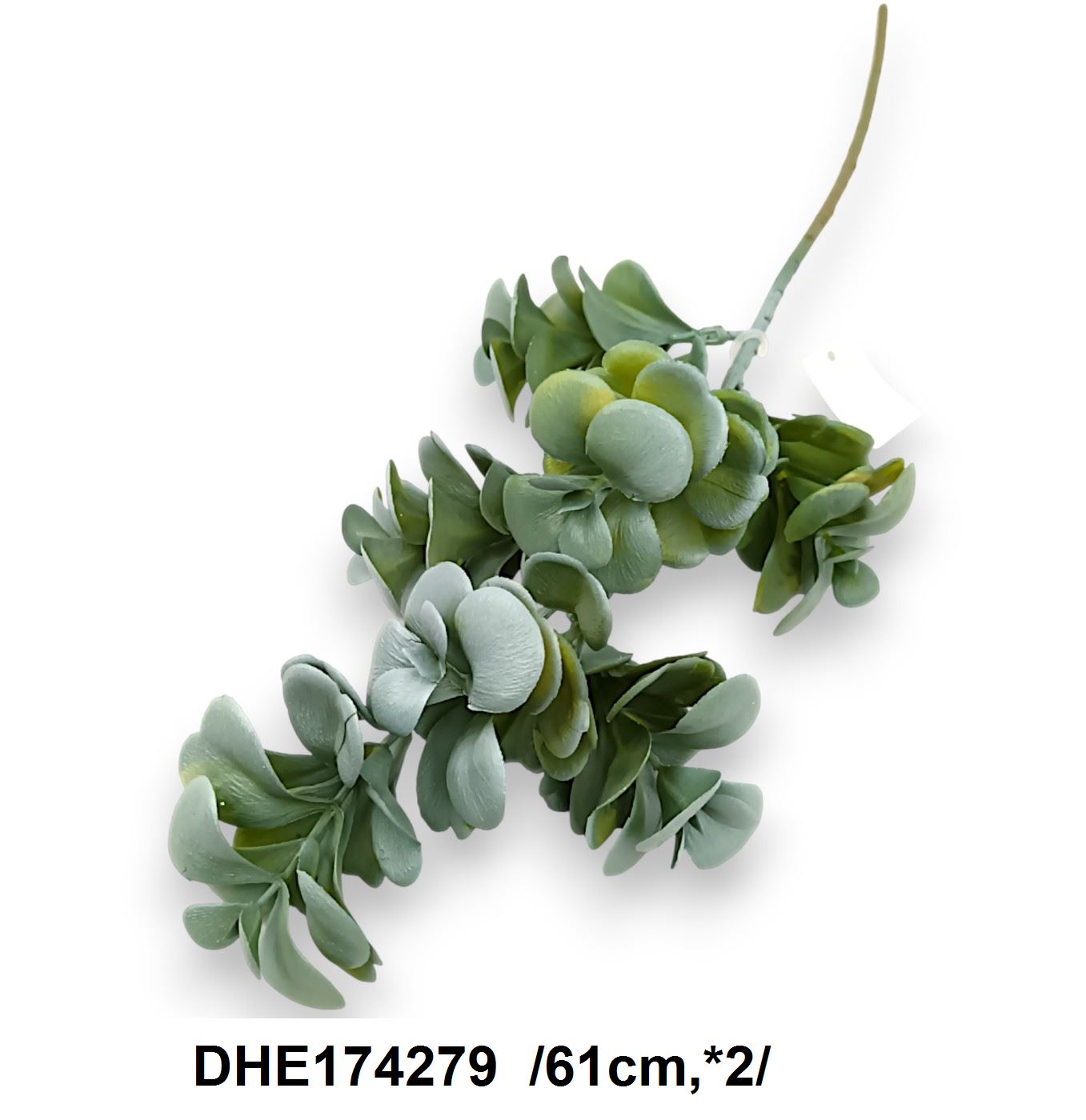 DHE174279