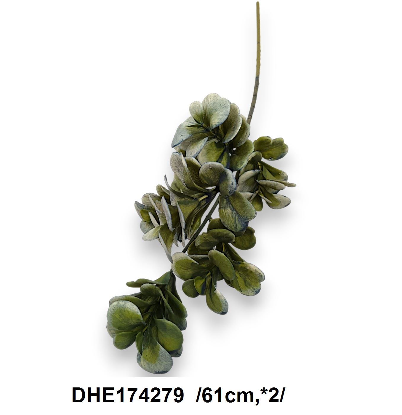 DHE174279