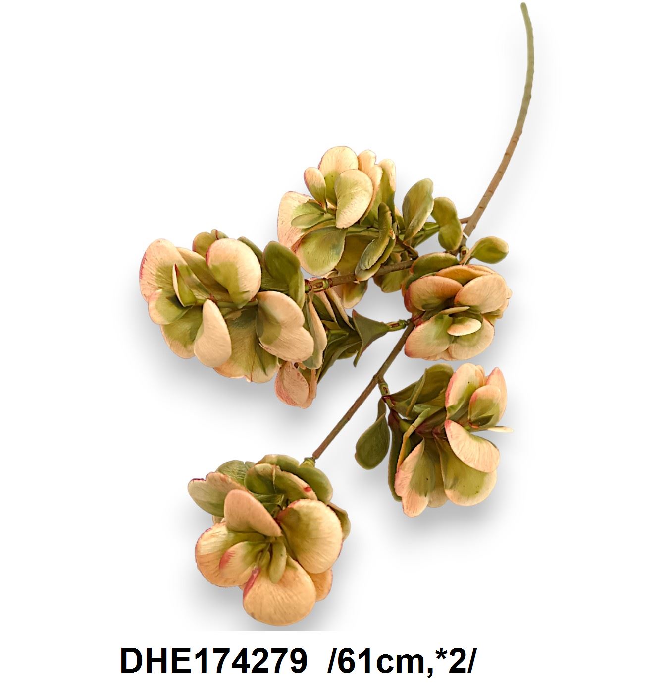 DHE174279
