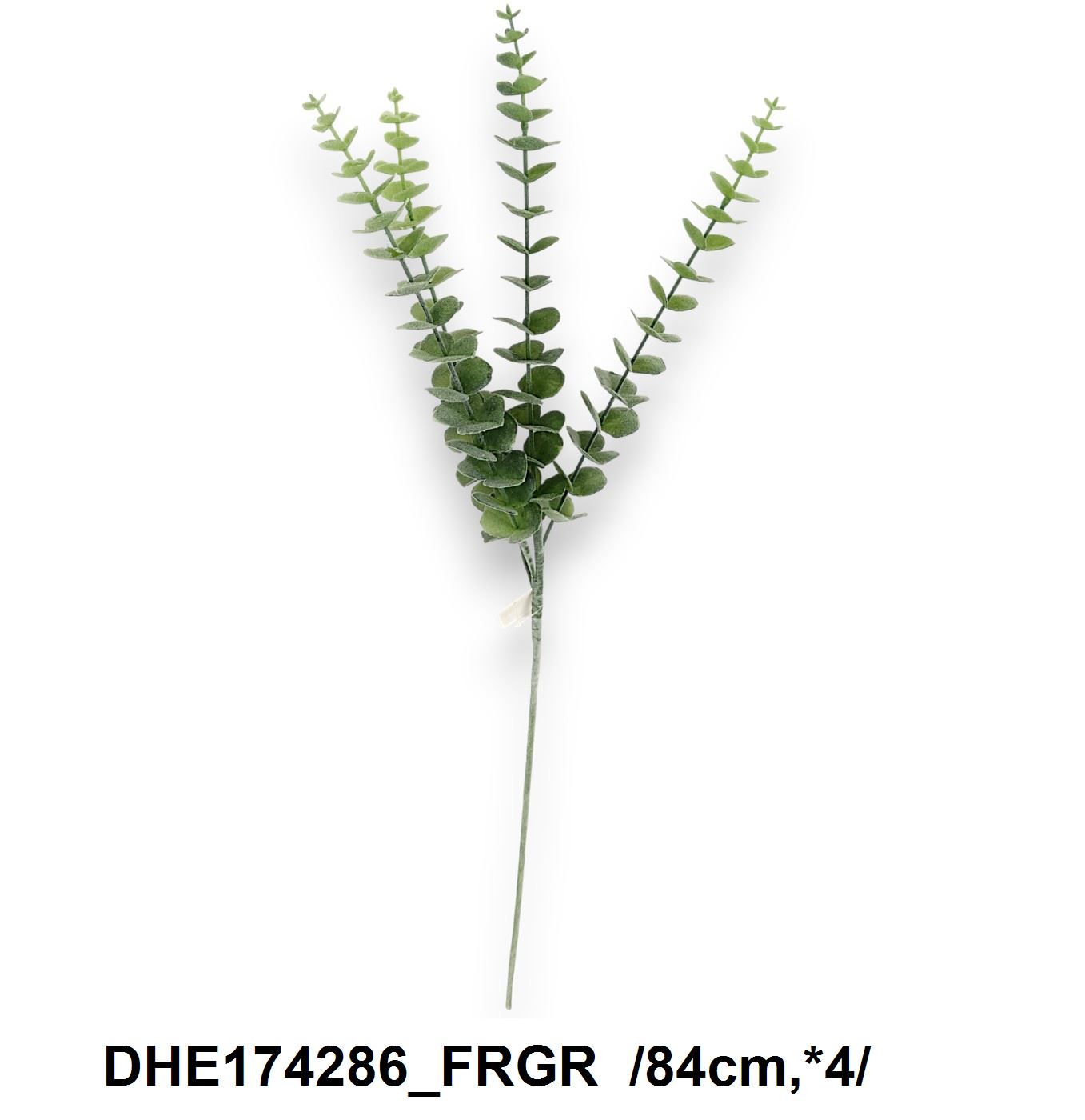 DHE174286_FRGR