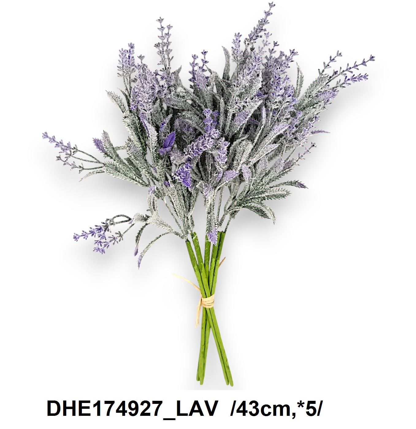 DHE174927_LAV