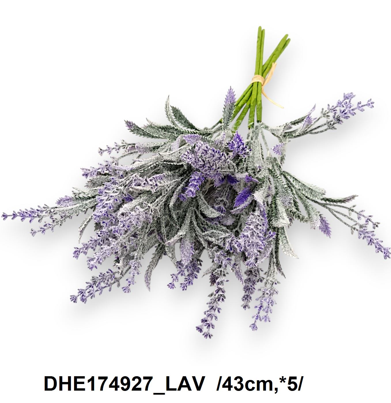 DHE174927_LAV