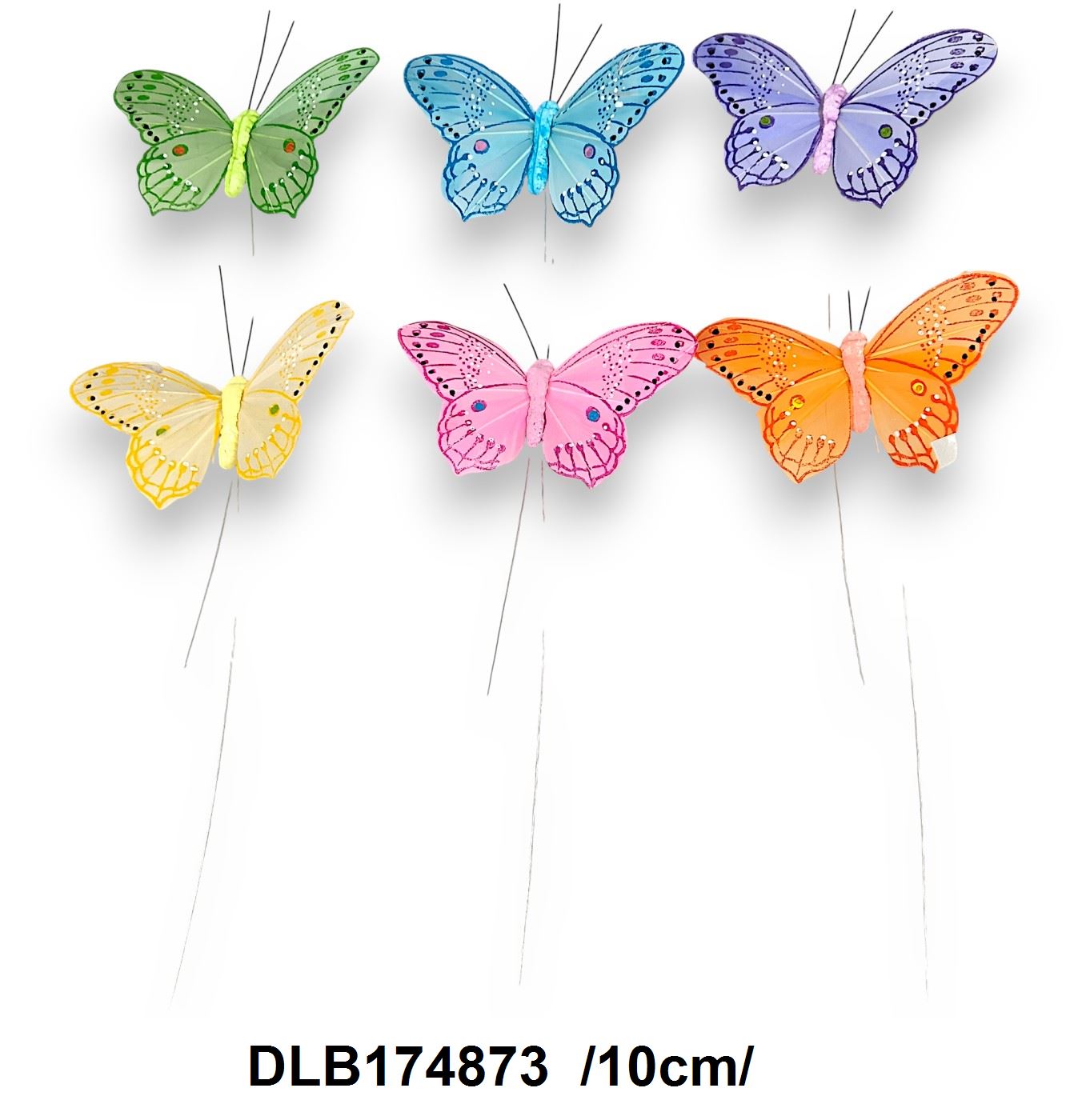 DLB174873