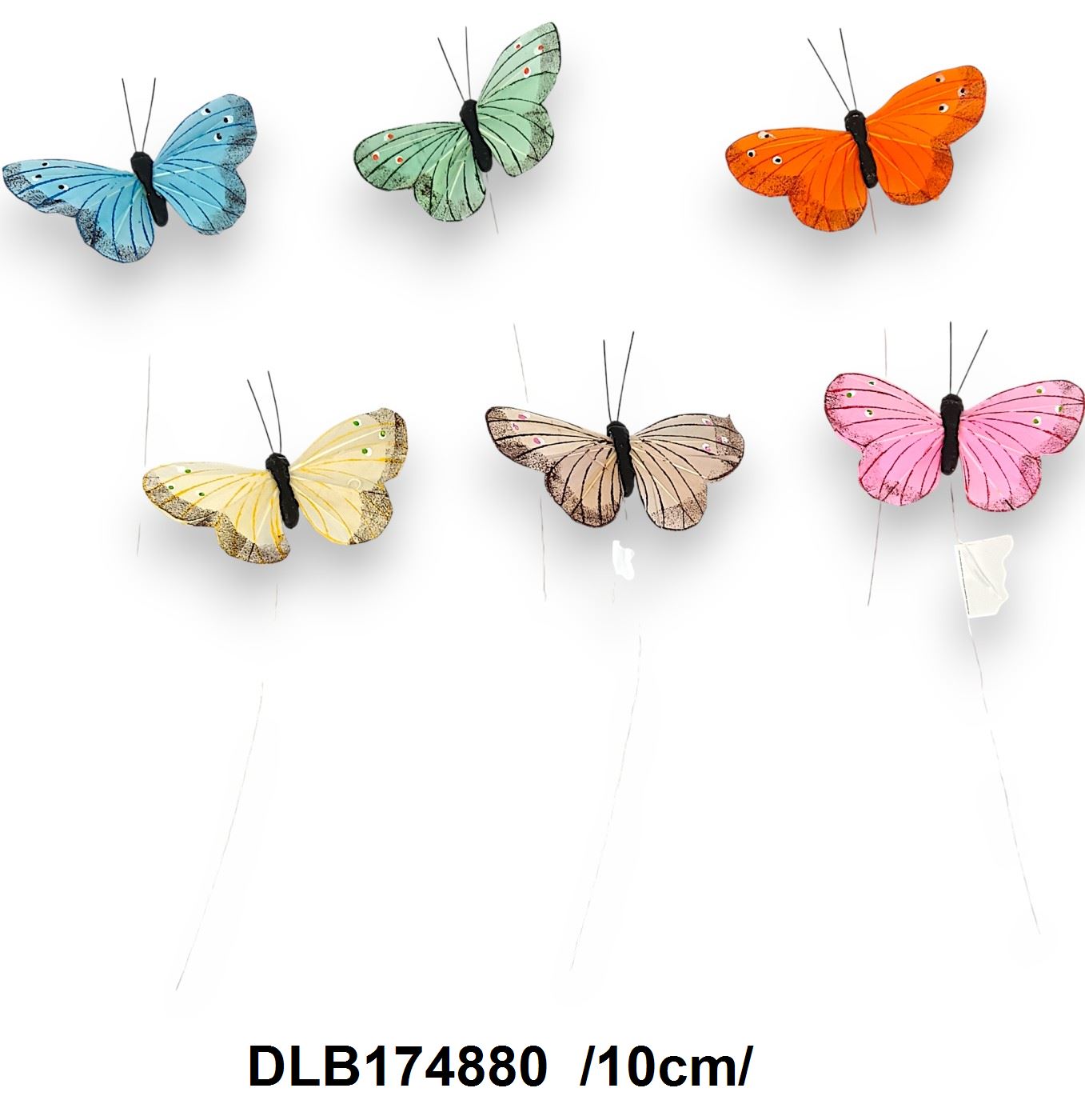 DLB174880