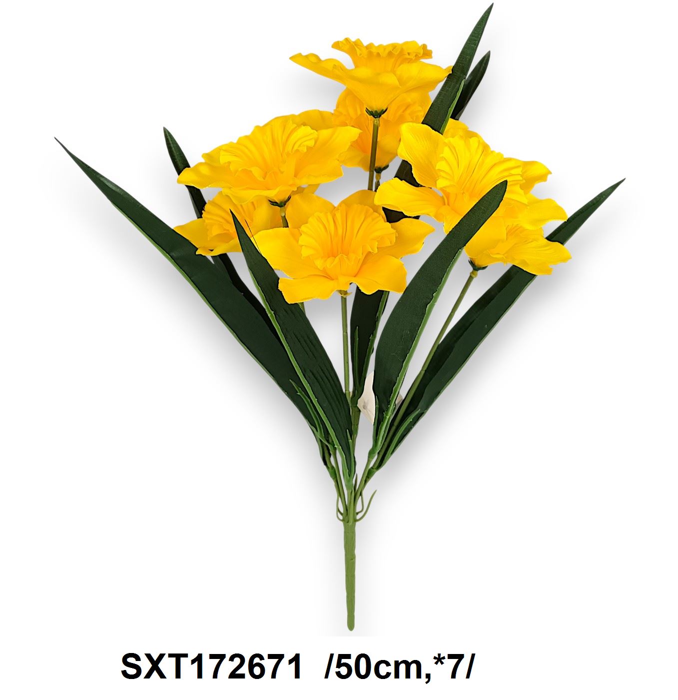 SXT172671