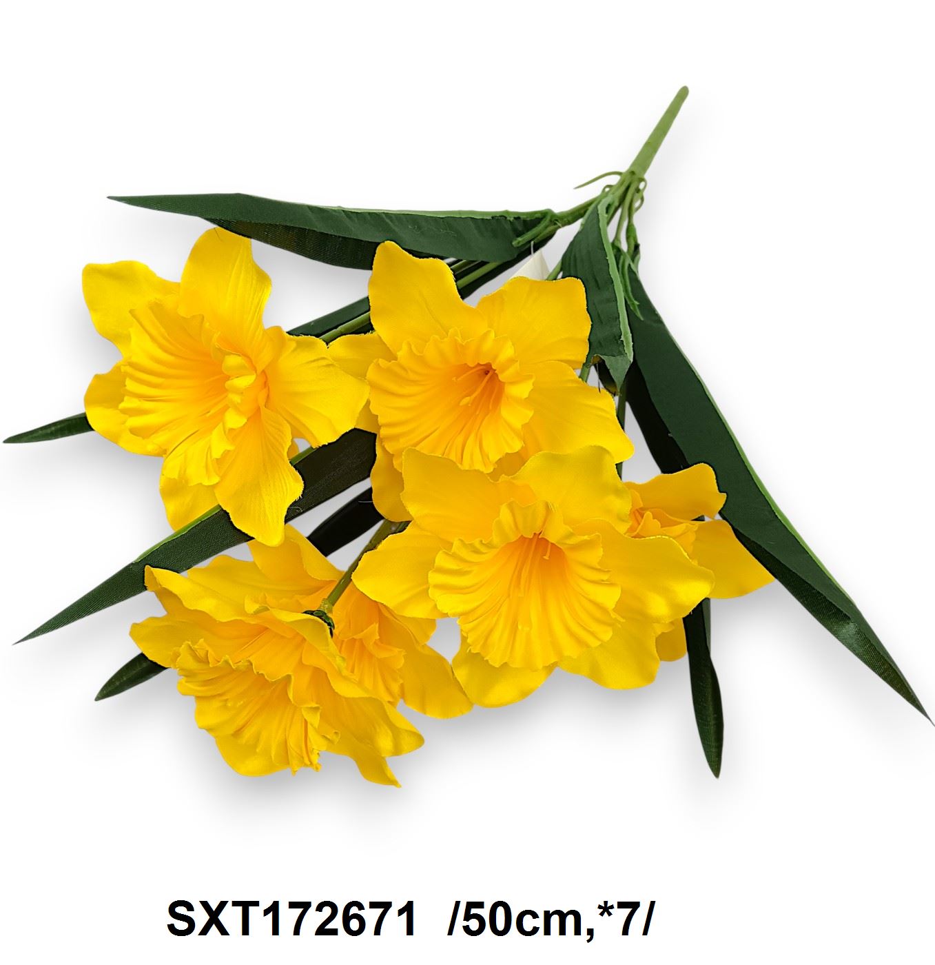 SXT172671