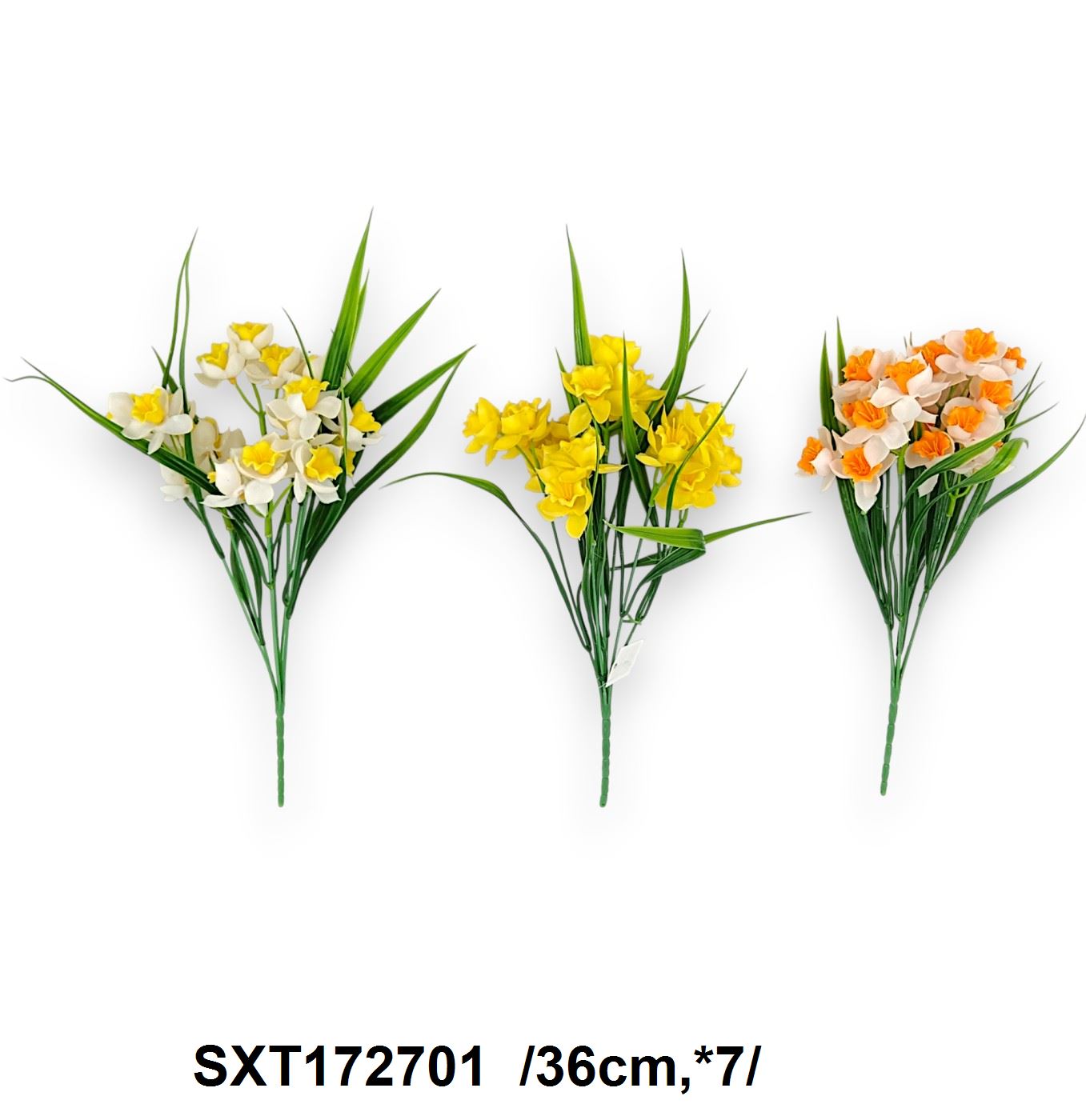 SXT172701
