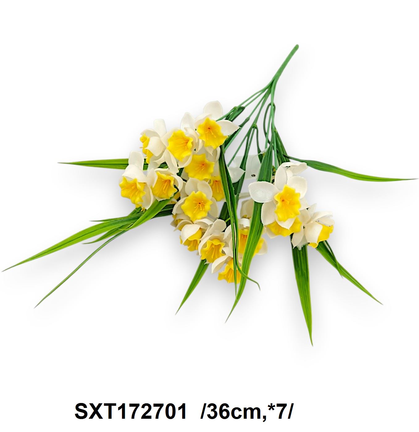 SXT172701