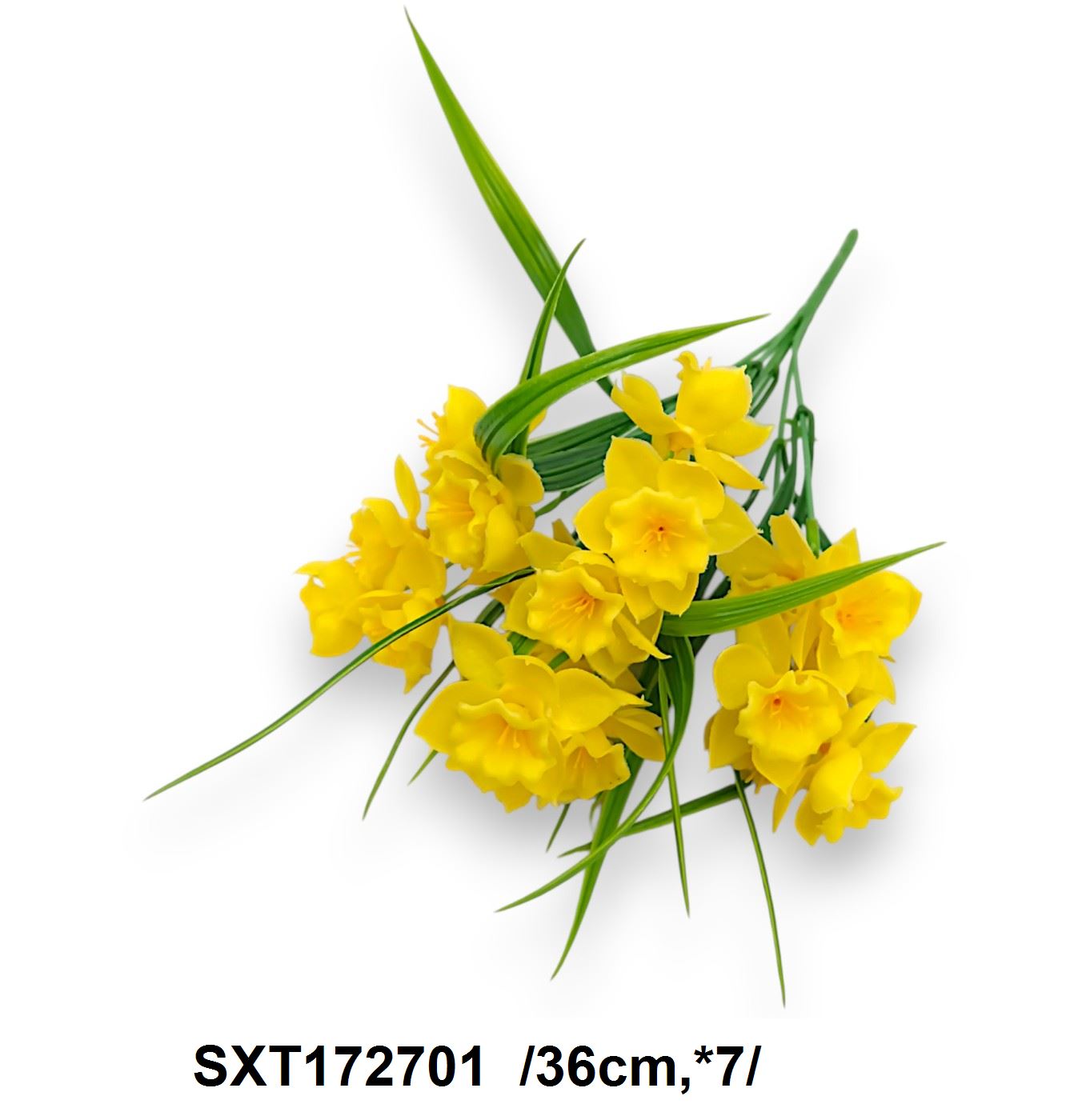 SXT172701