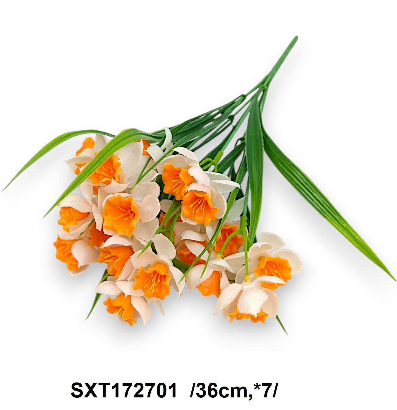 SXT172701