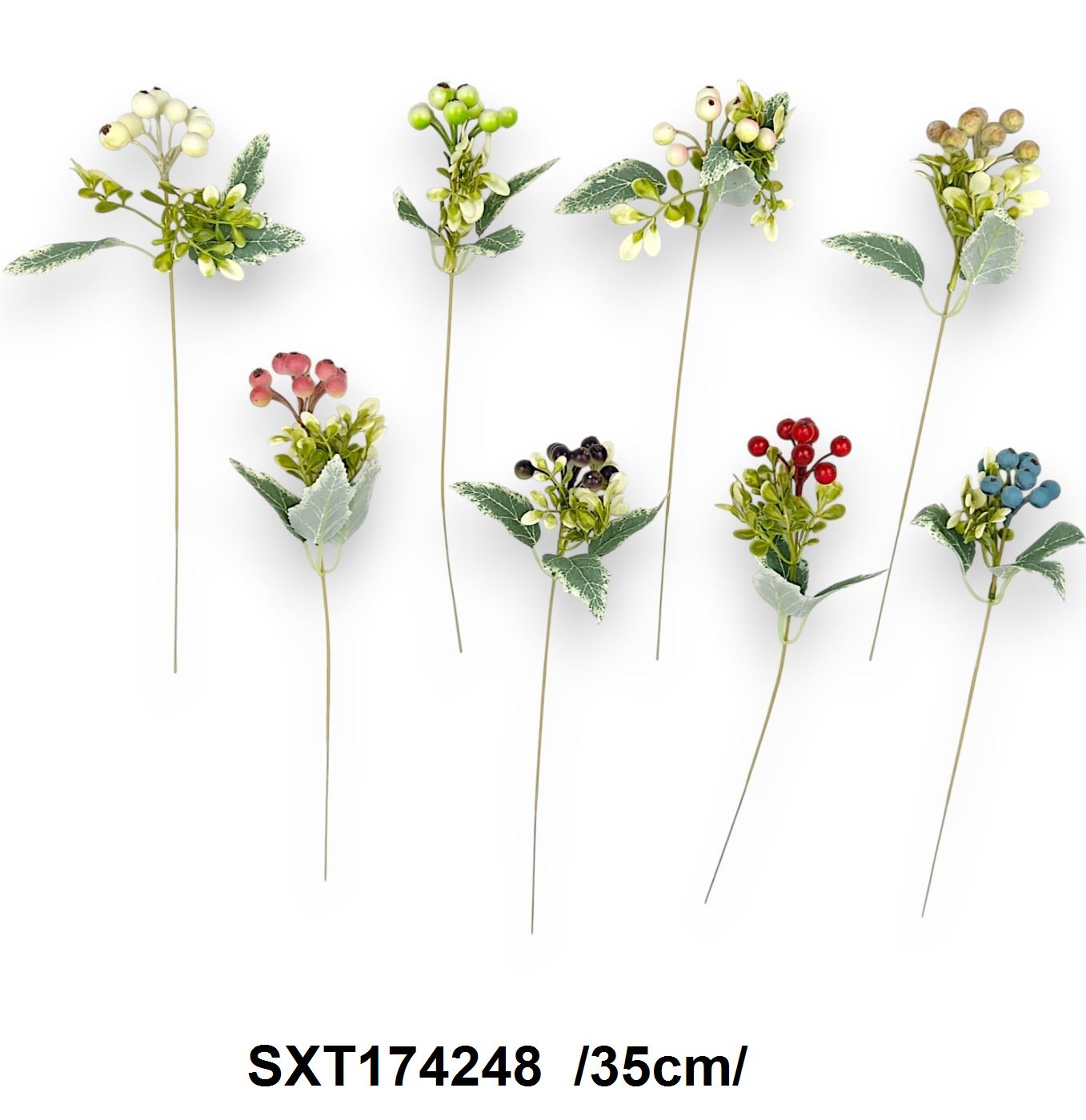 SXT174248