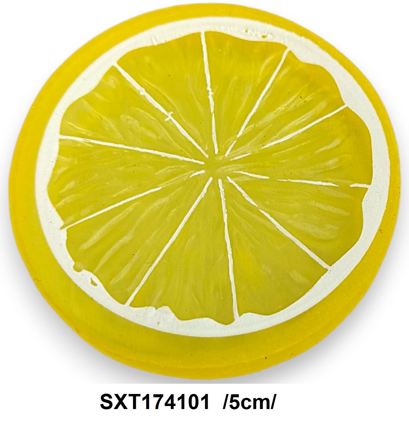 SXT174101