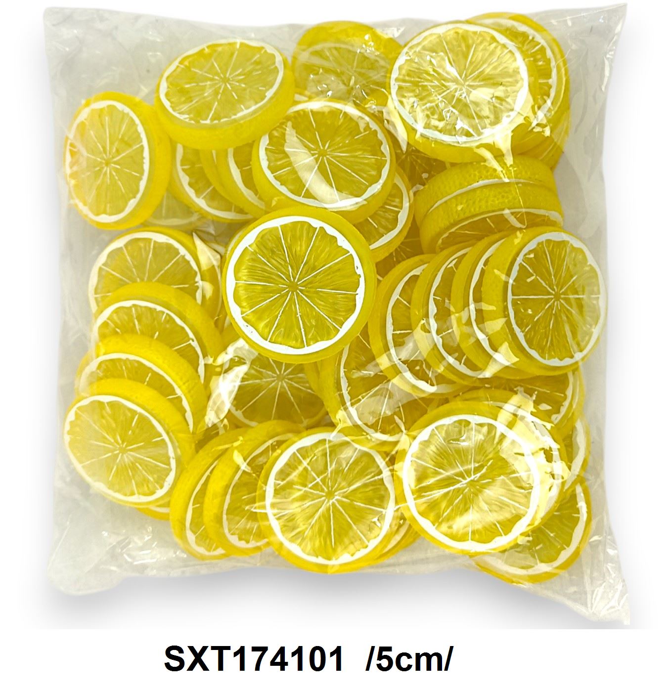 SXT174101