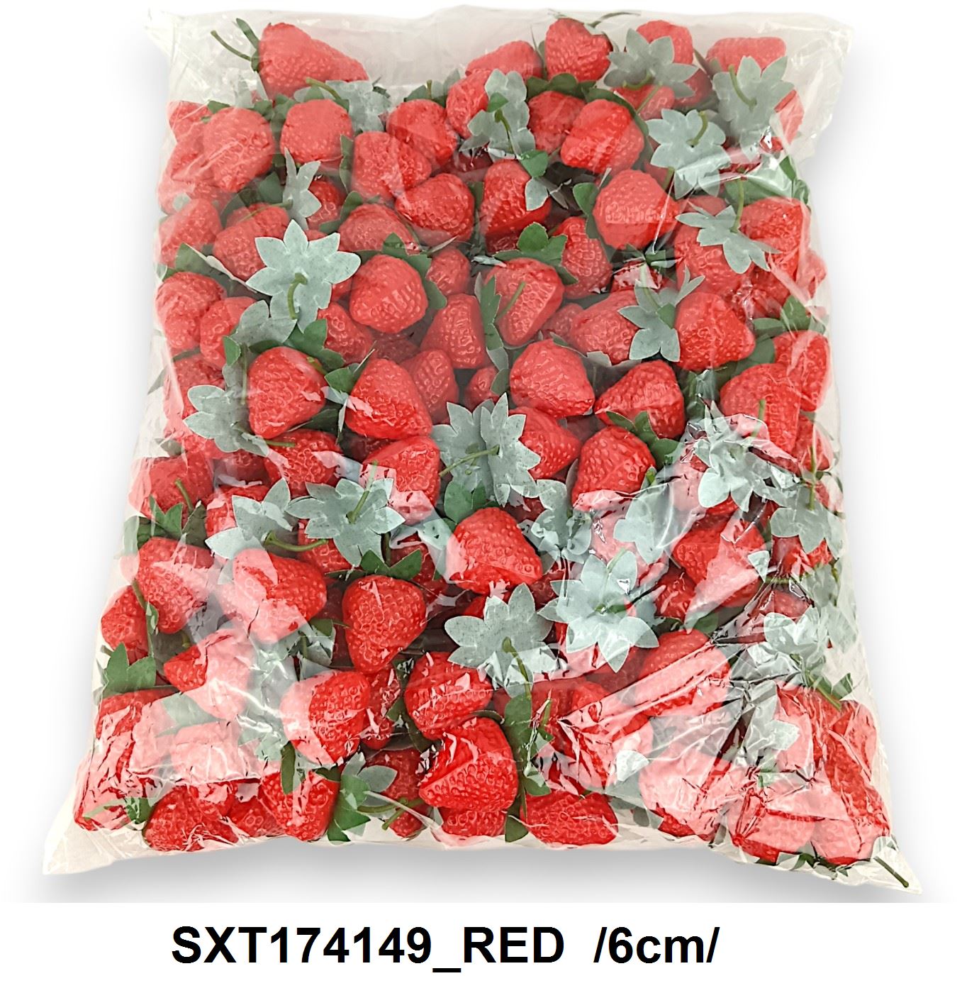 SXT174149_RED