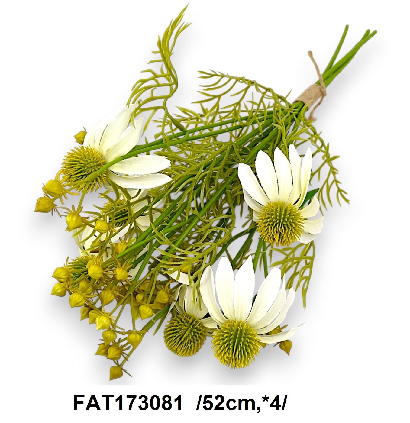 FAT173081