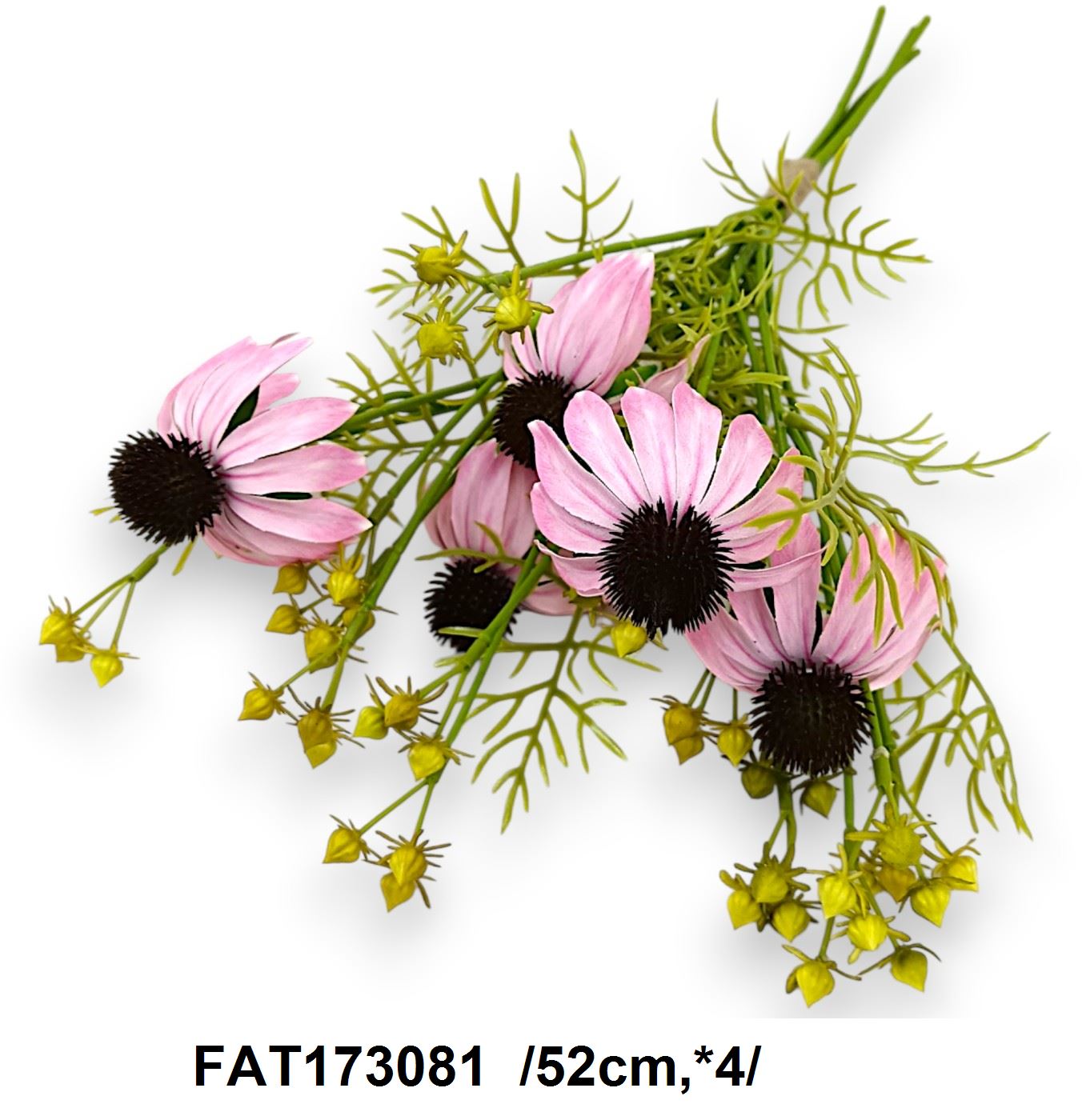 FAT173081