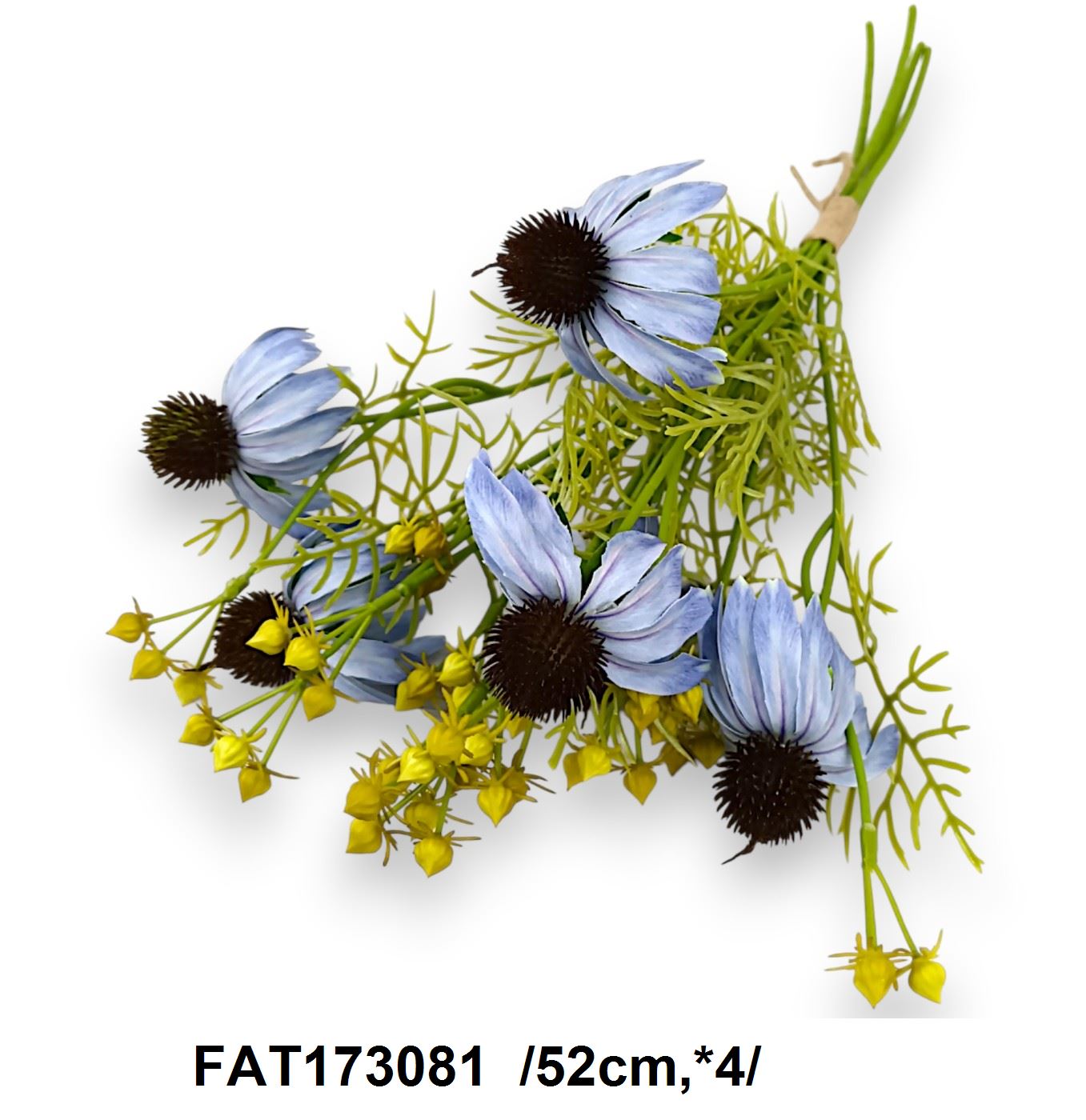FAT173081
