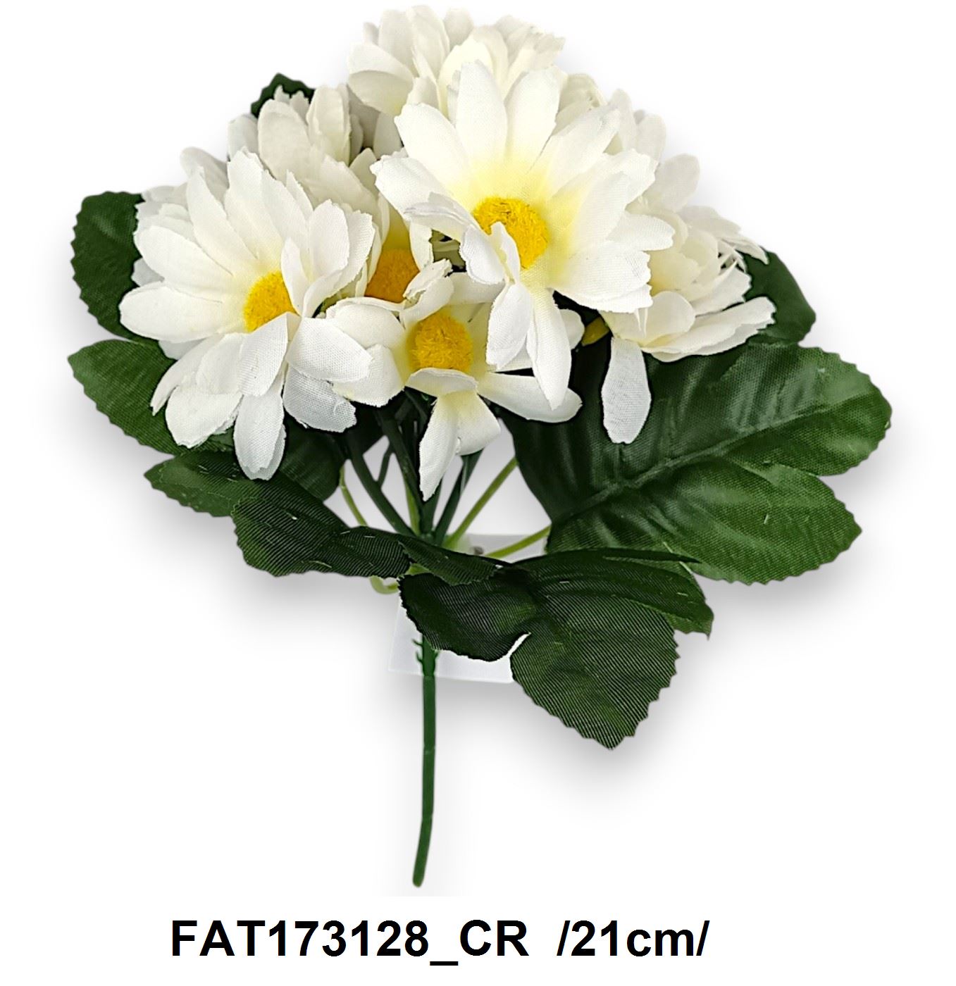 FAT173128_CR