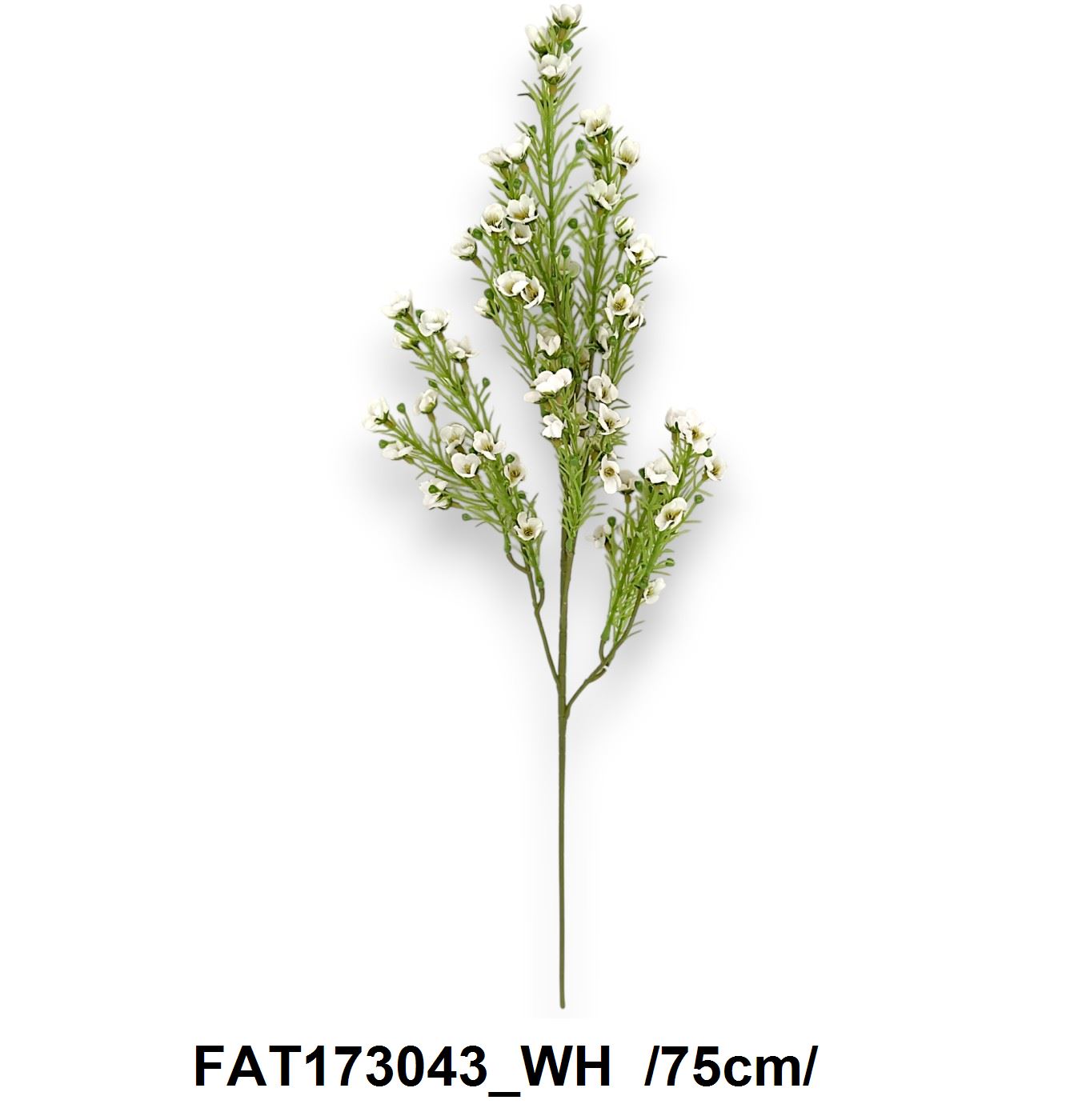 FAT173043_WH