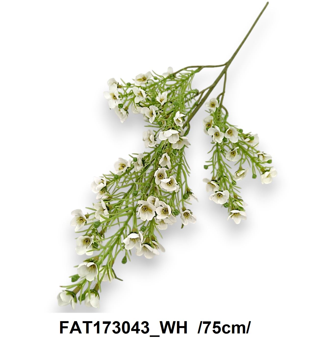 FAT173043_WH