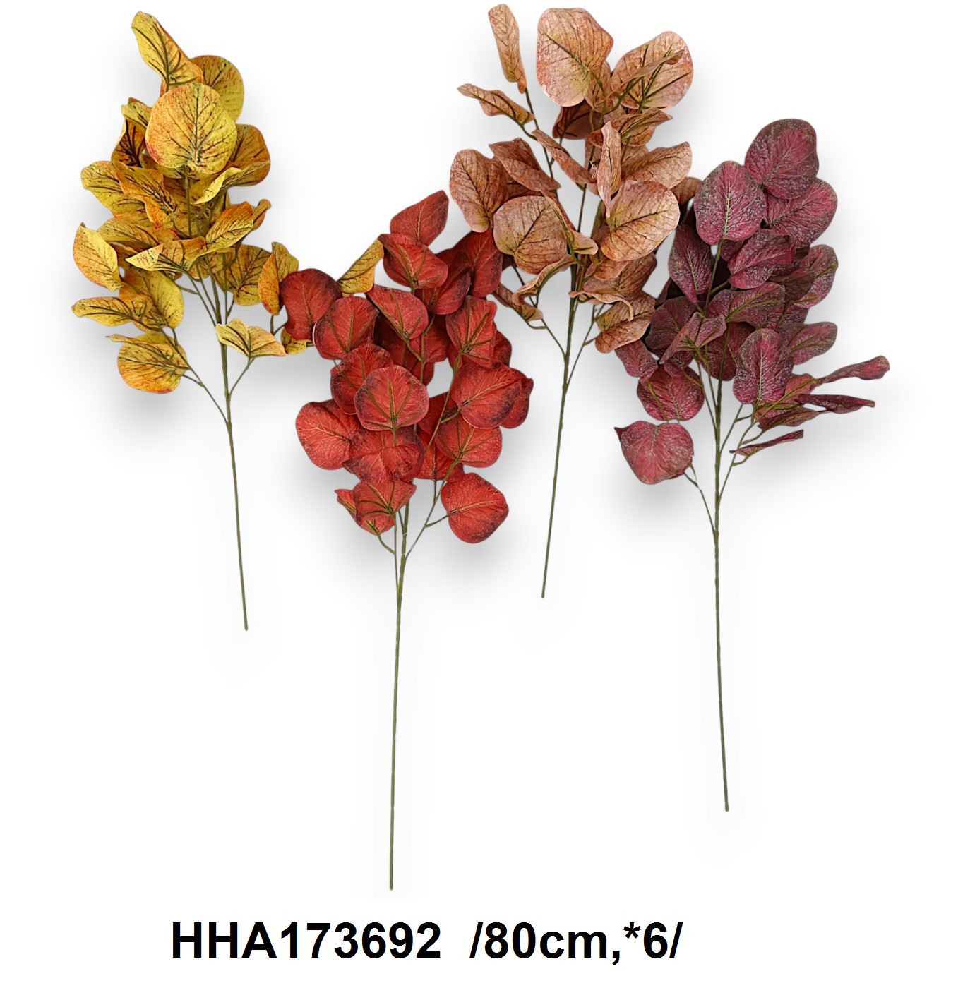 HHA173692