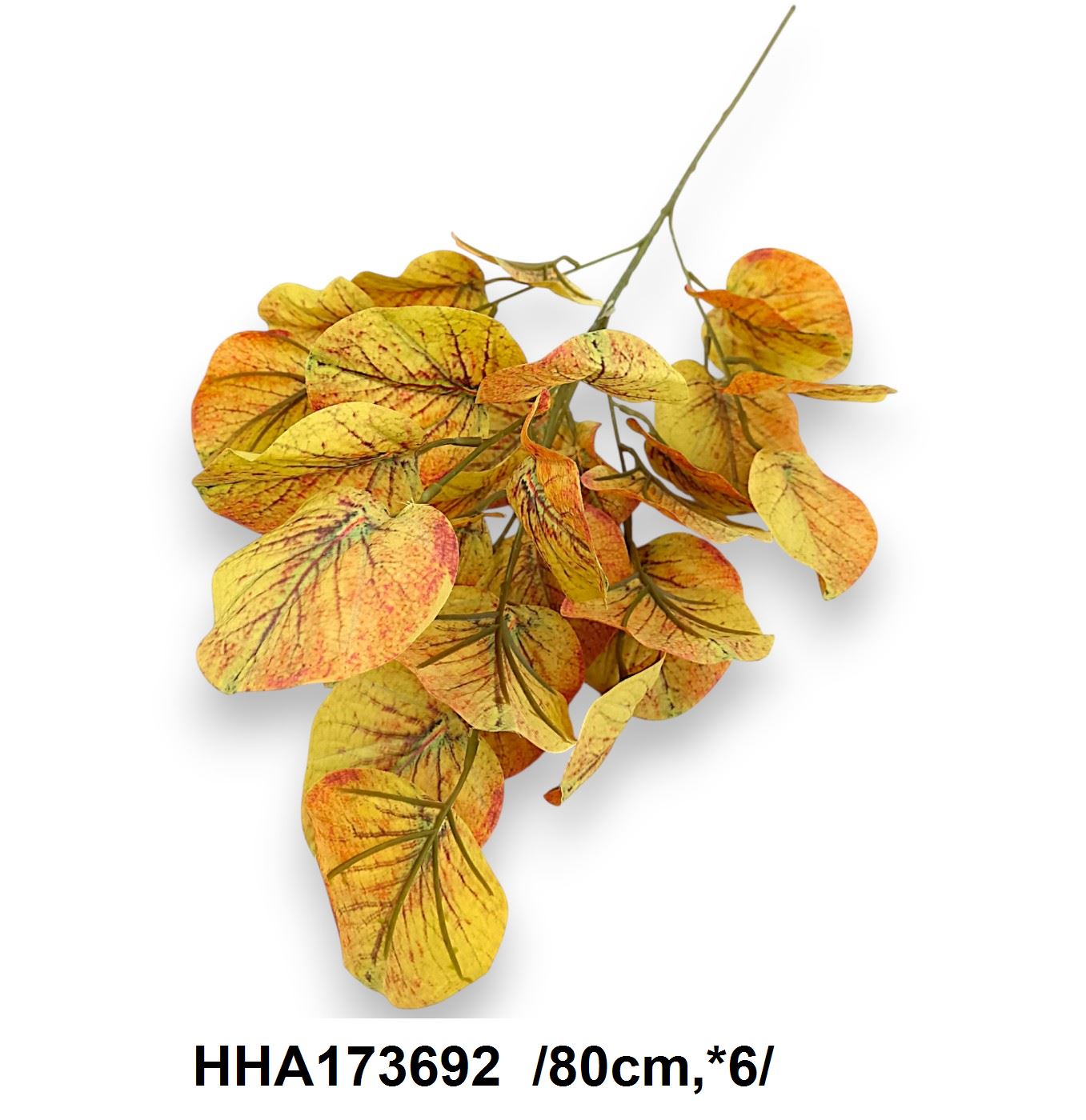 HHA173692