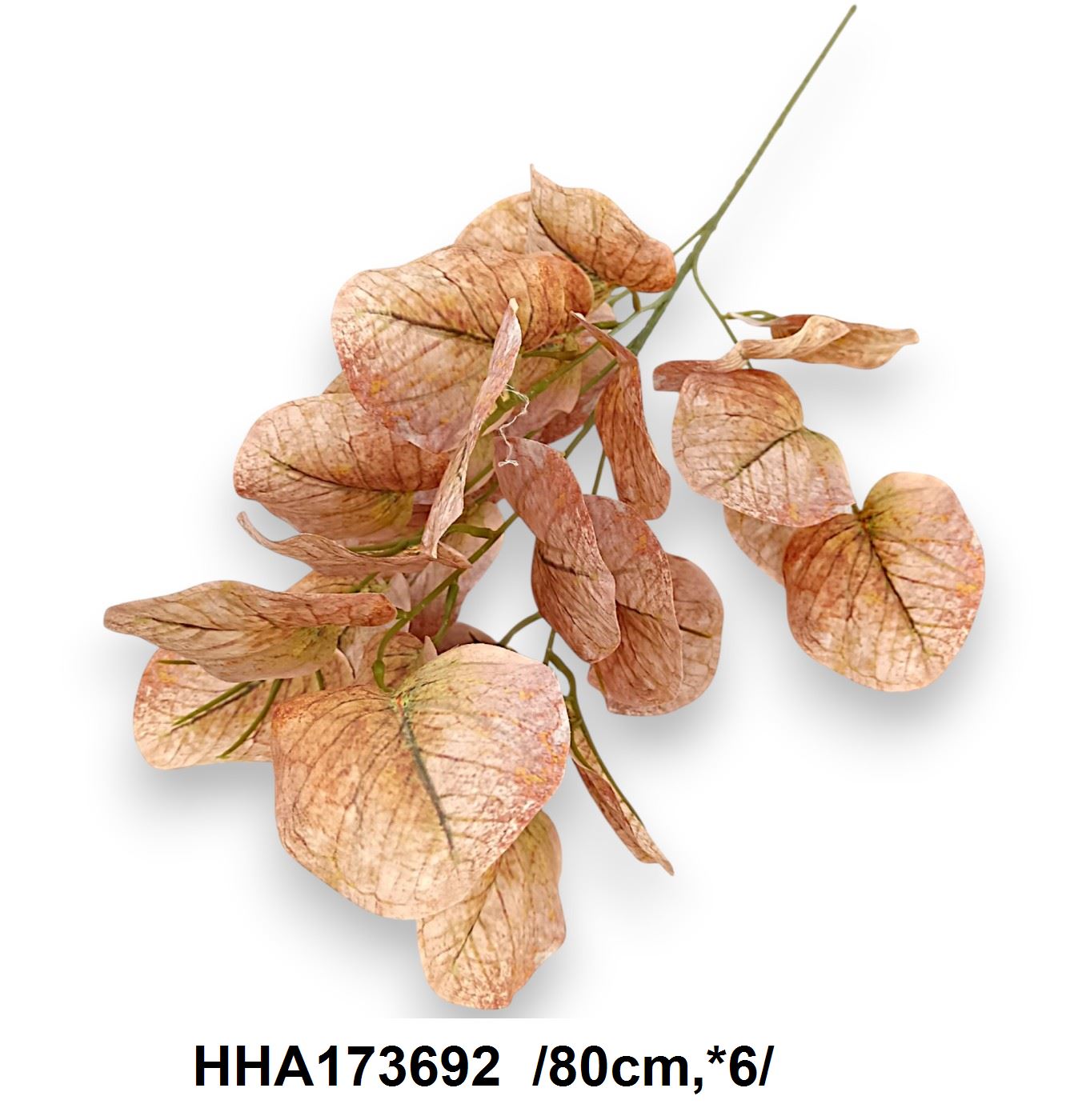 HHA173692
