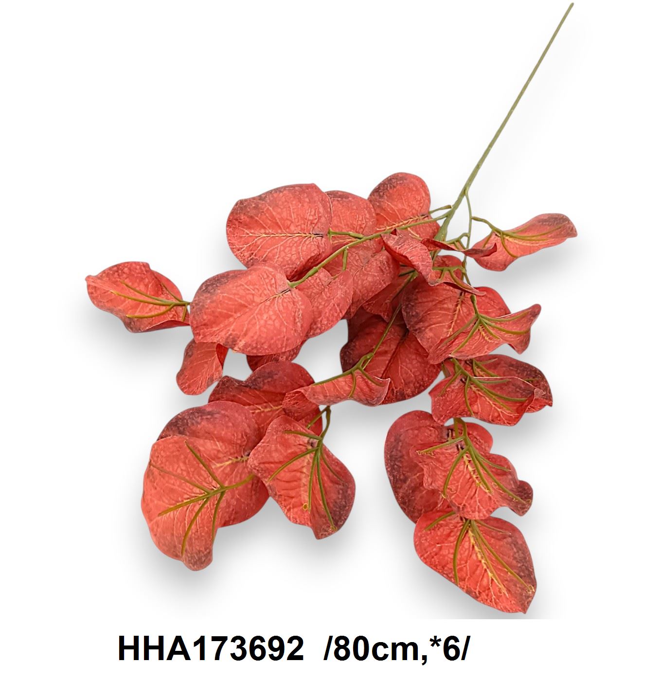 HHA173692
