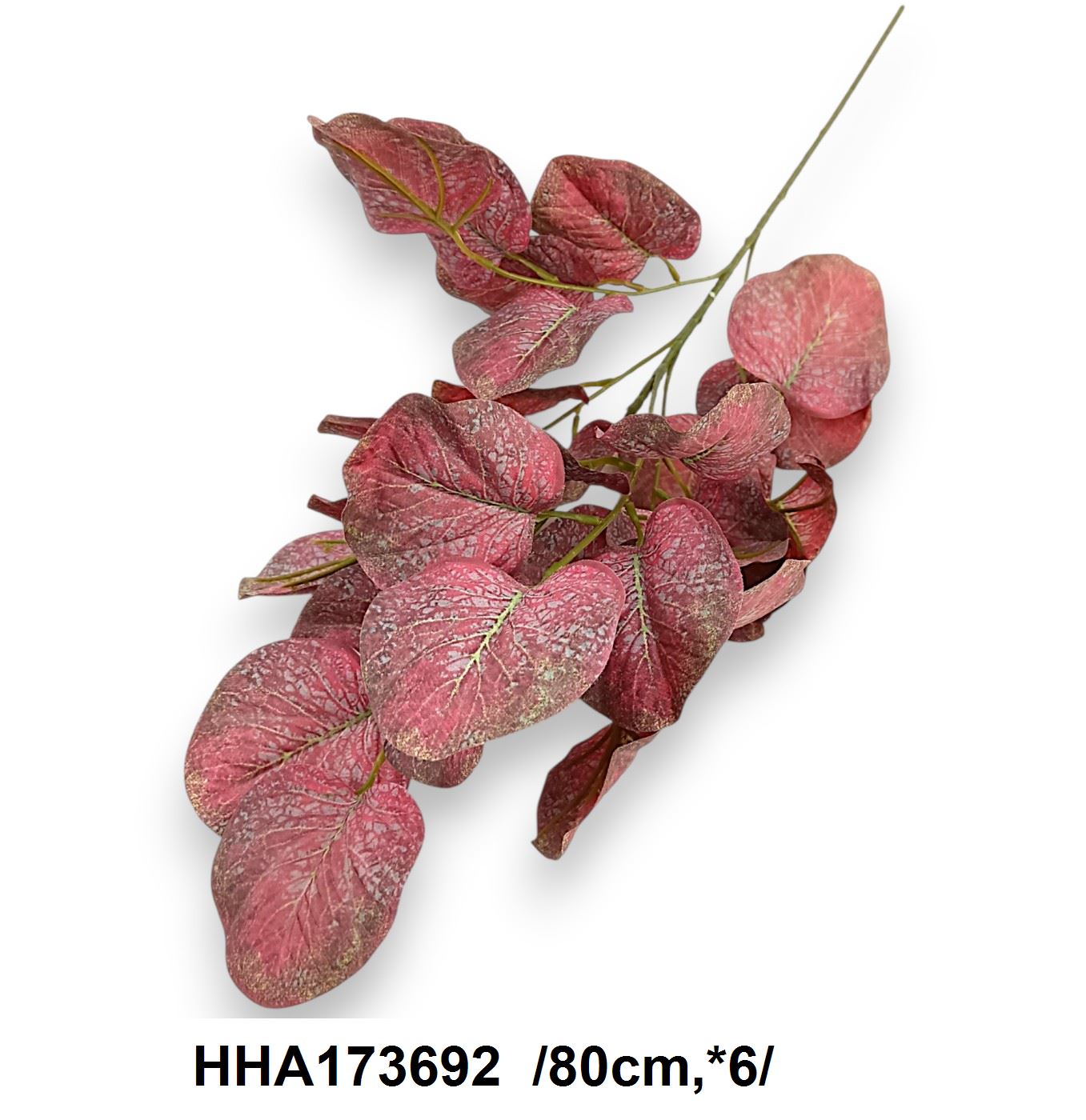 HHA173692