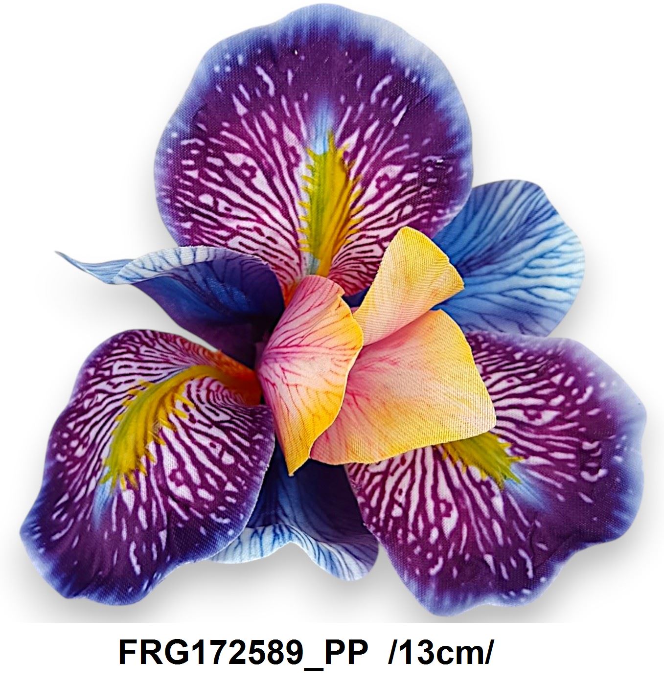 FRG172589_PP