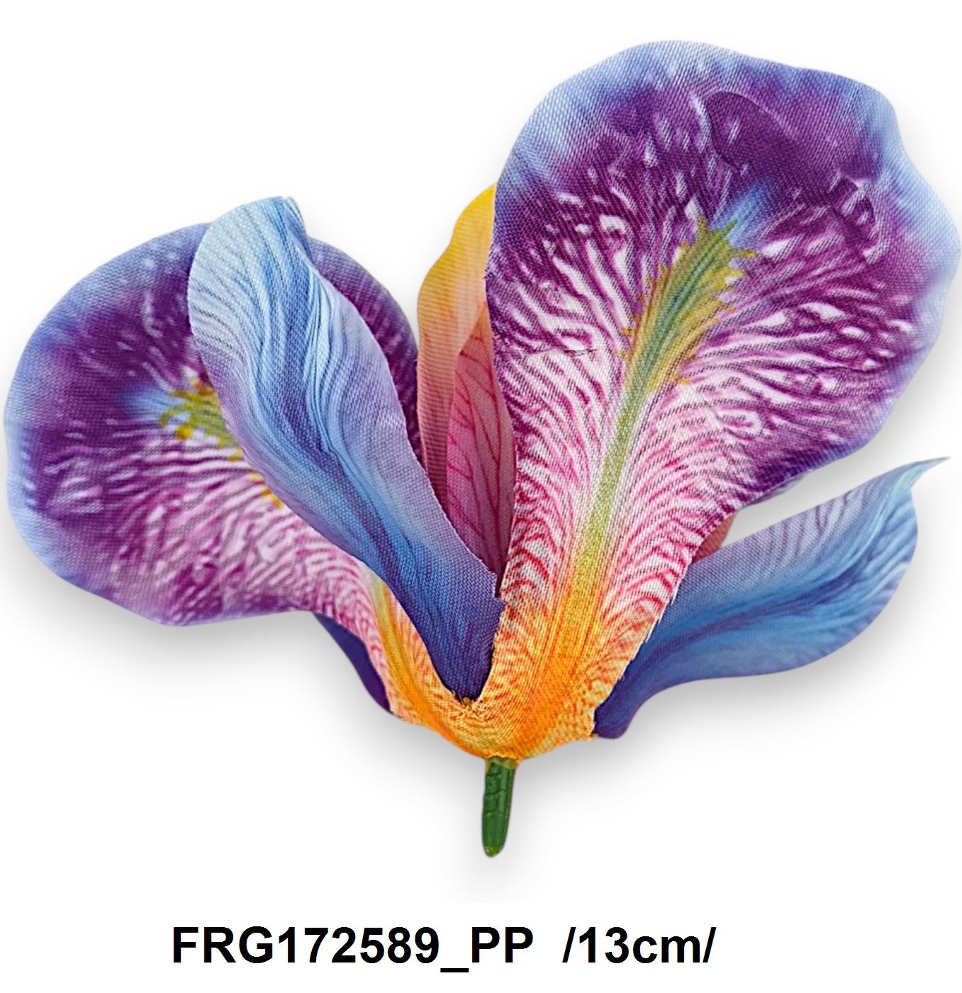 FRG172589_PP