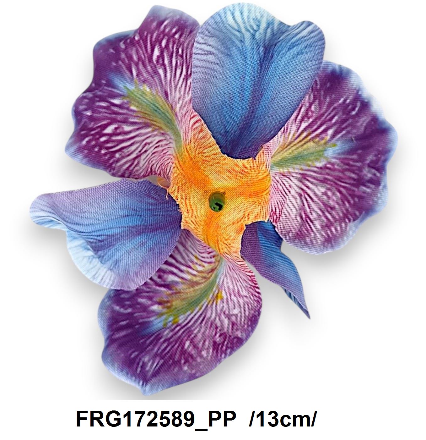 FRG172589_PP