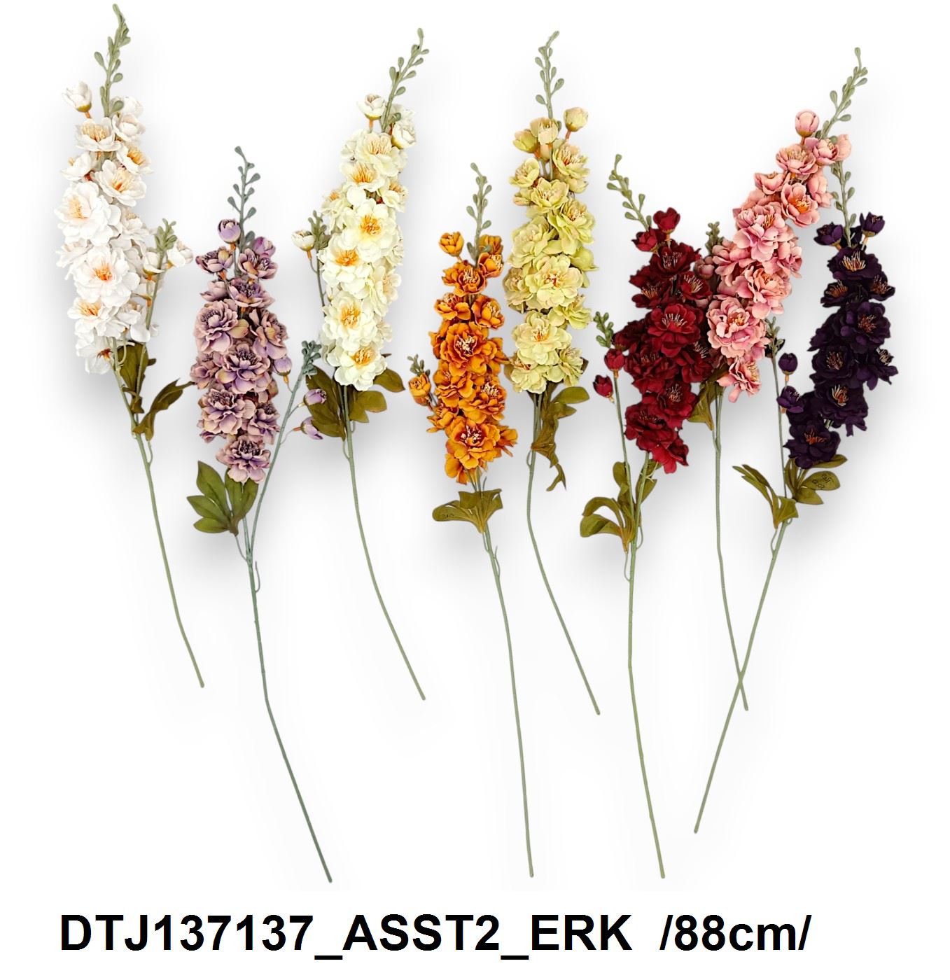 DTJ137137_ASST2_ERK