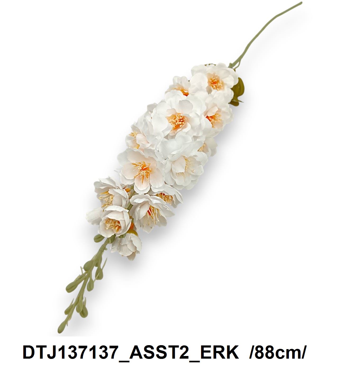 DTJ137137_ASST2_ERK