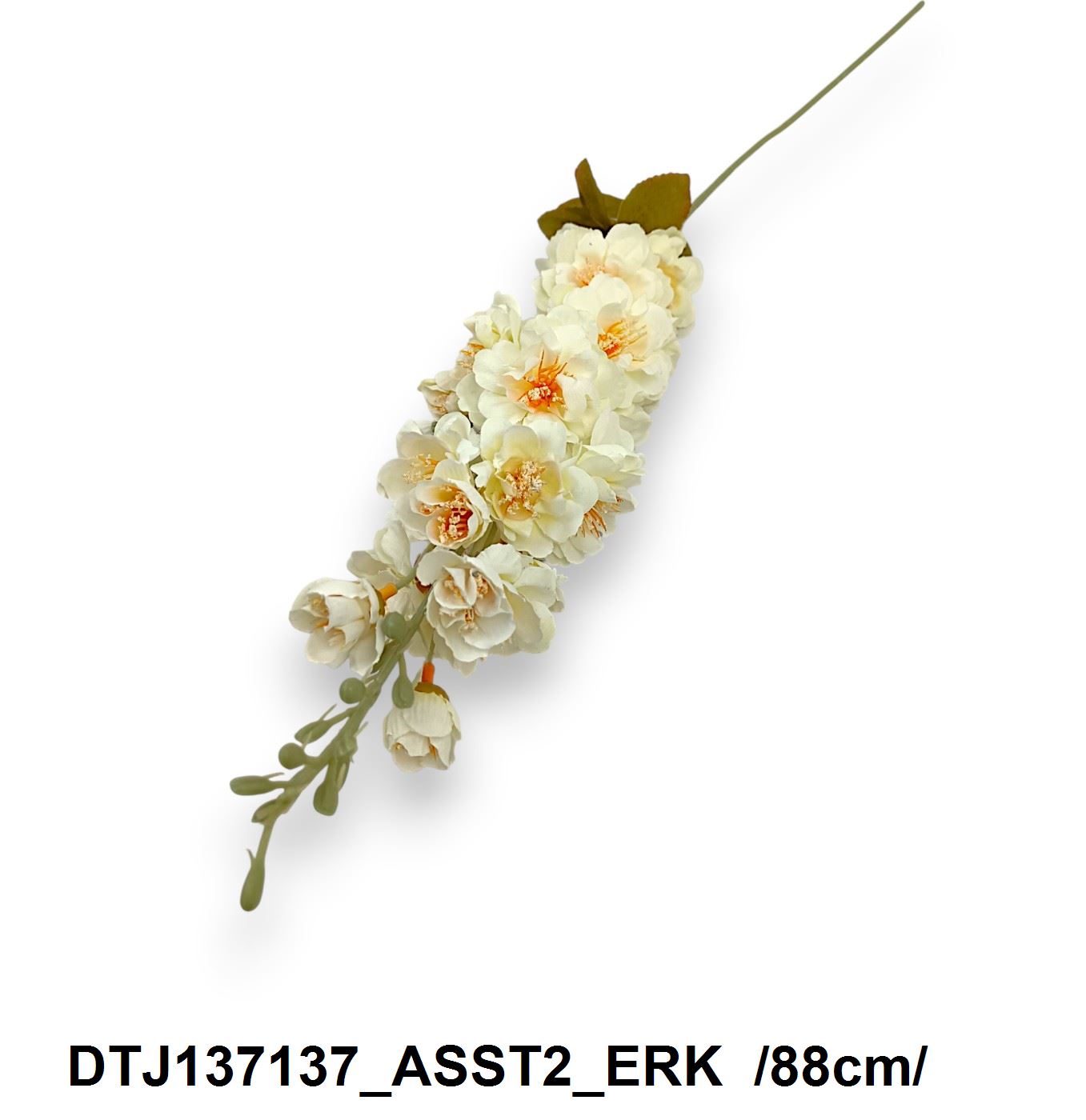 DTJ137137_ASST2_ERK