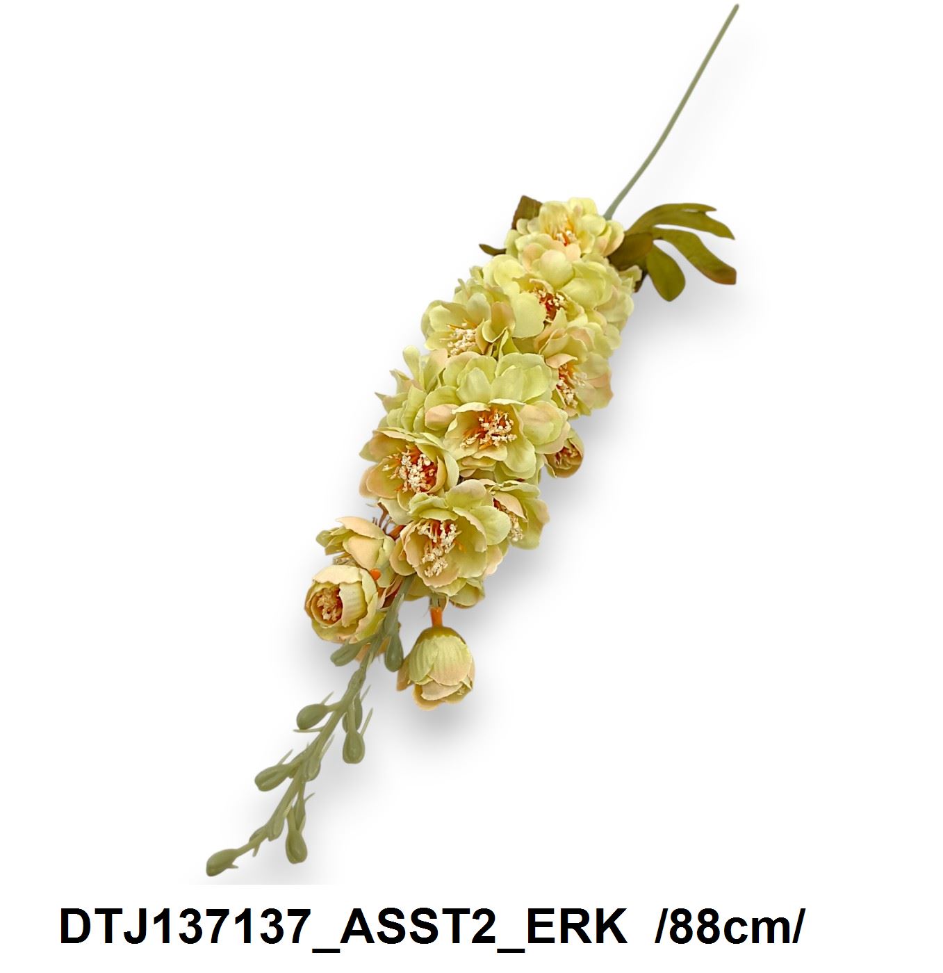 DTJ137137_ASST2_ERK