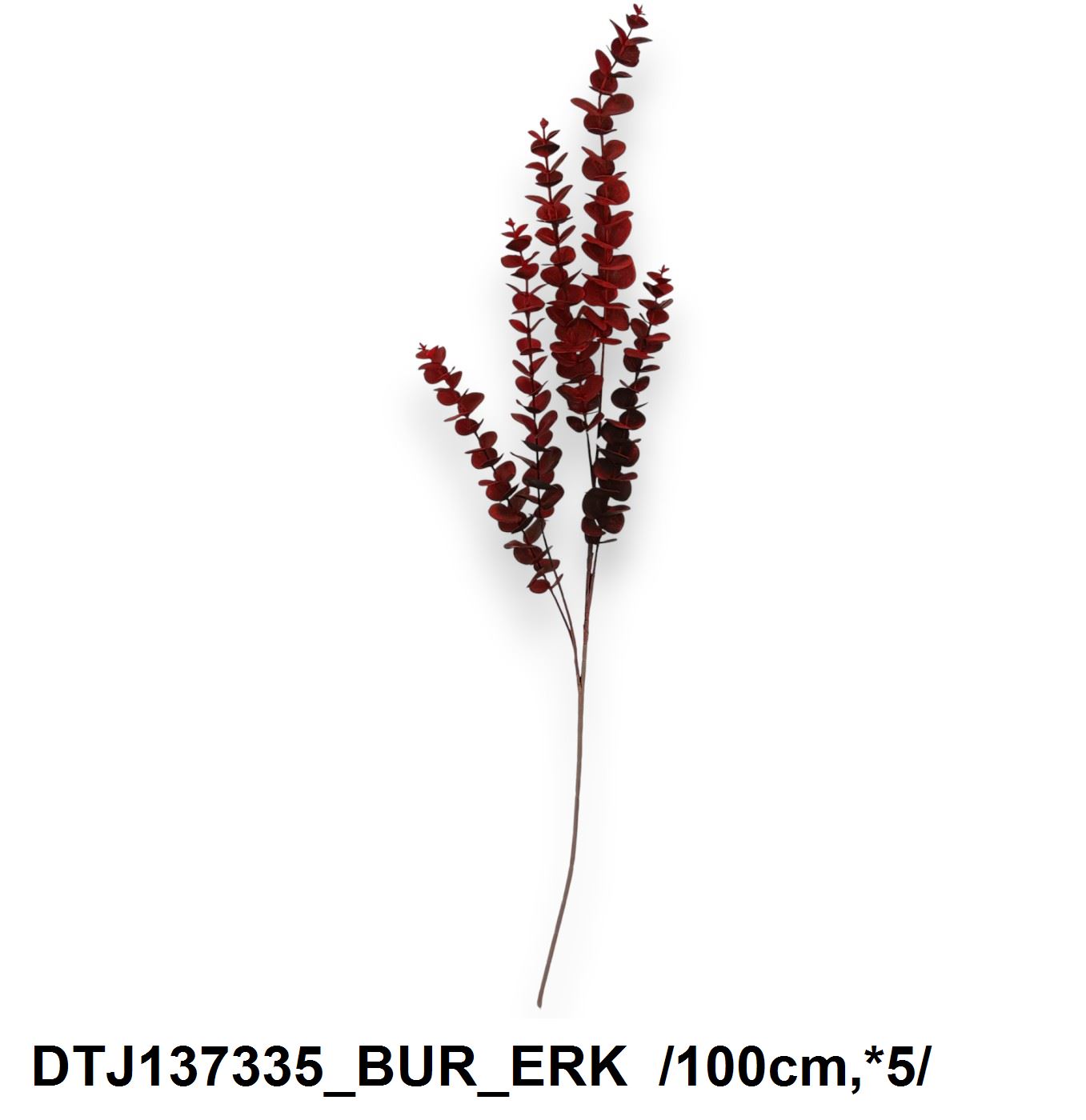DTJ137335_BUR_ERK