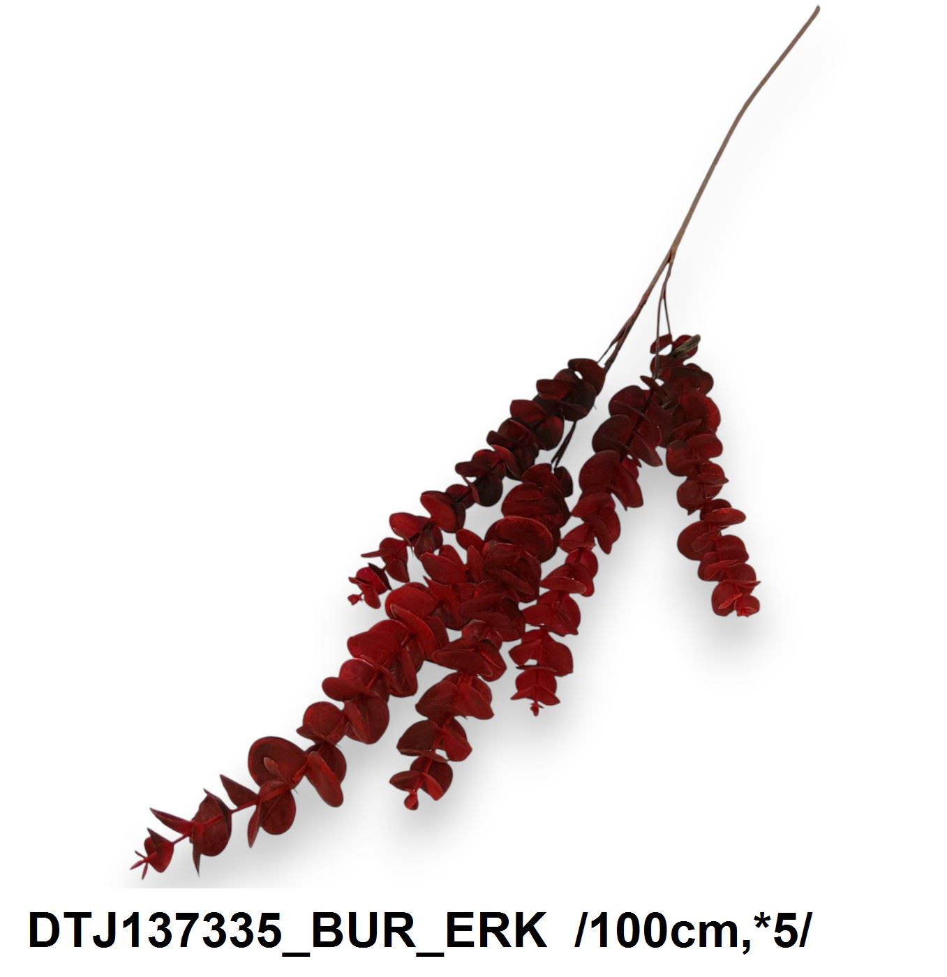 DTJ137335_BUR_ERK