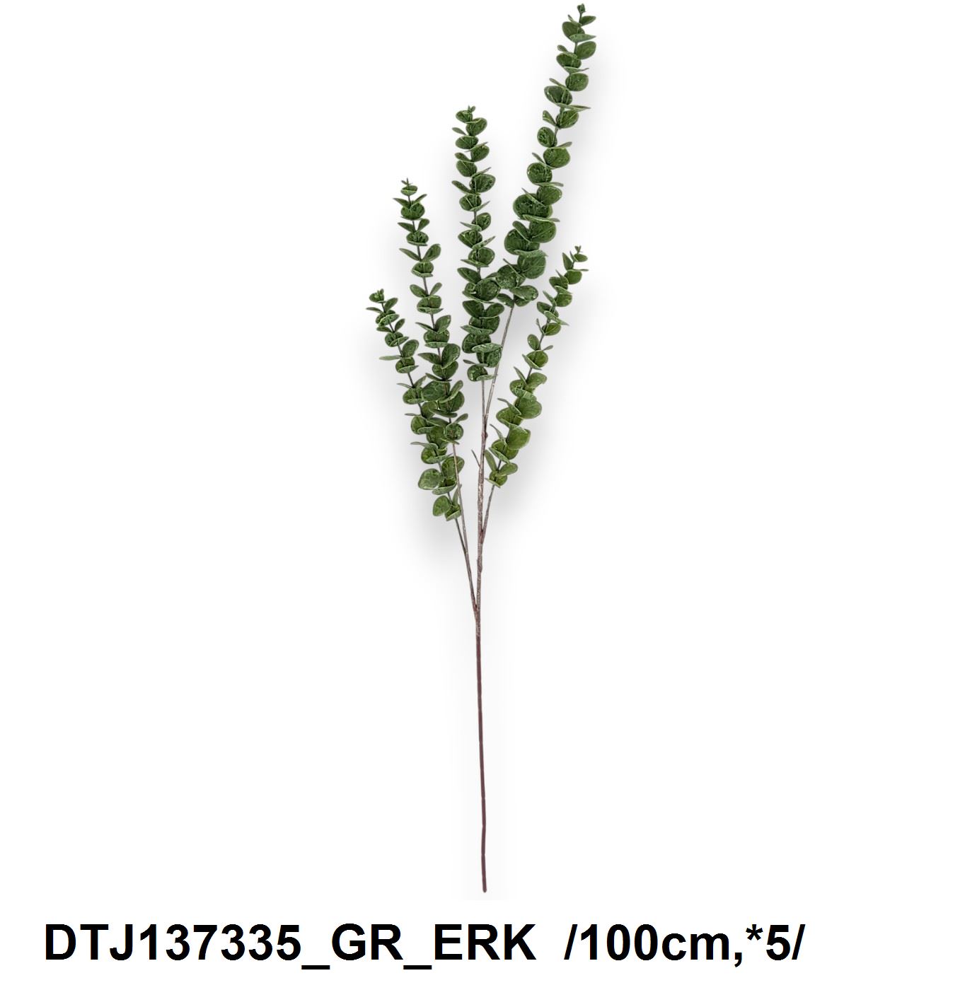 DTJ137335_GR_ERK