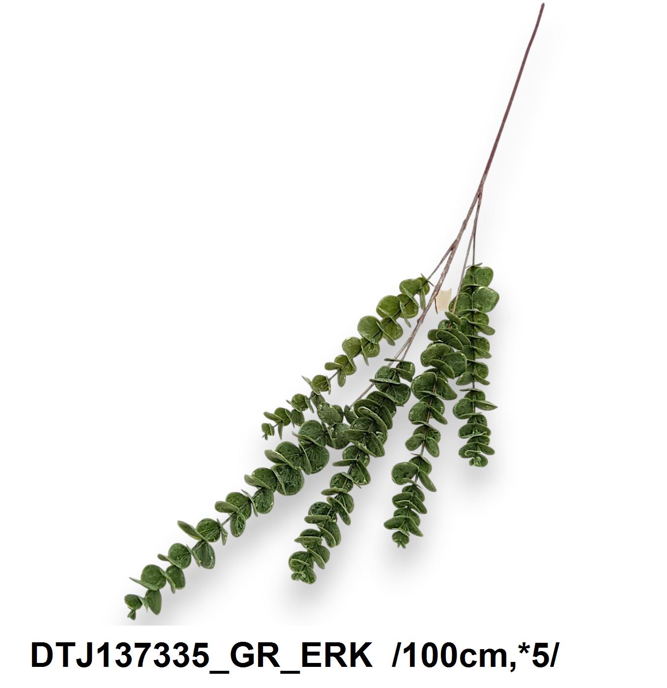 DTJ137335_GR_ERK